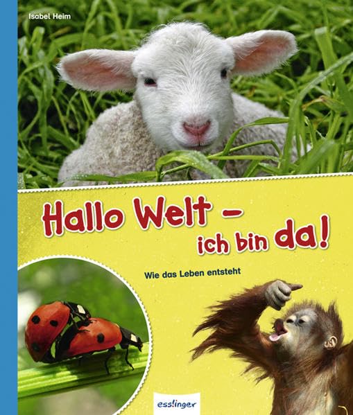 Hallo Welt - ich bin da!: Wie das Leben entsteht Non-fiction