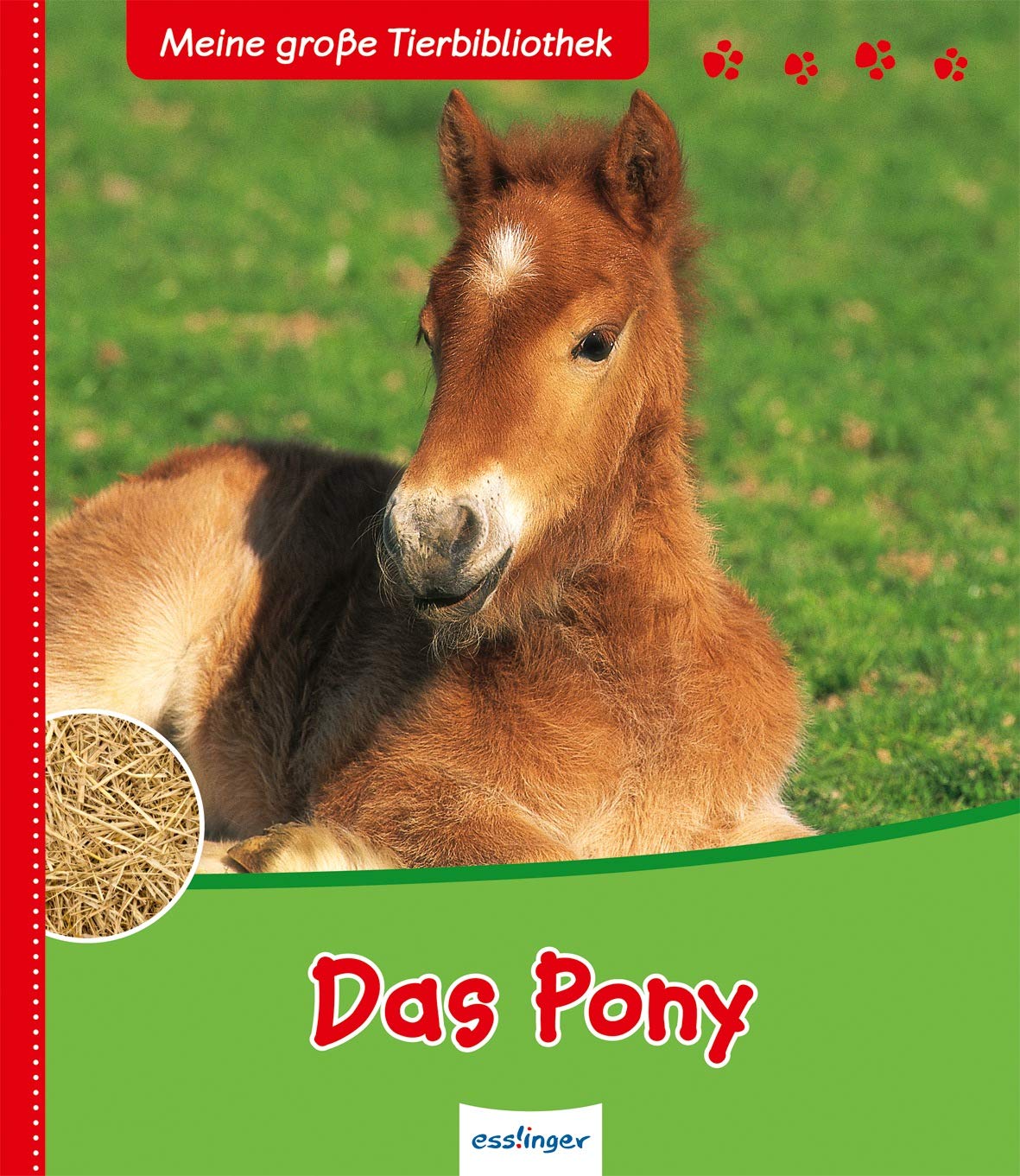 Das Pony Non-fiction