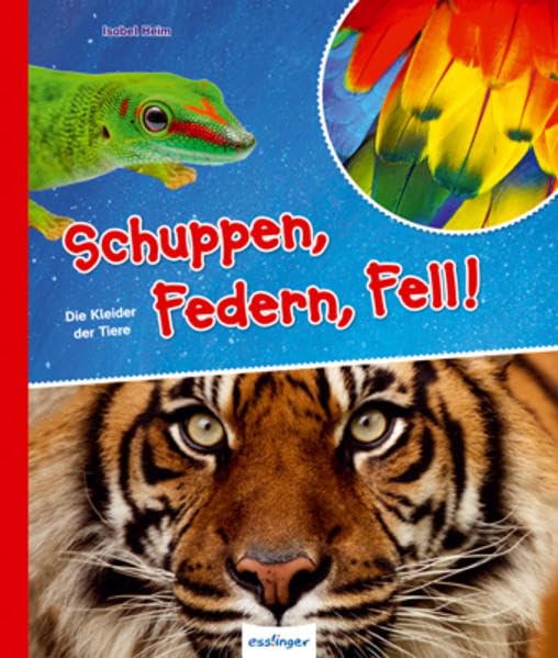 Schuppen, Federn, Fell!: Die Kleider der Tiere Non-fiction