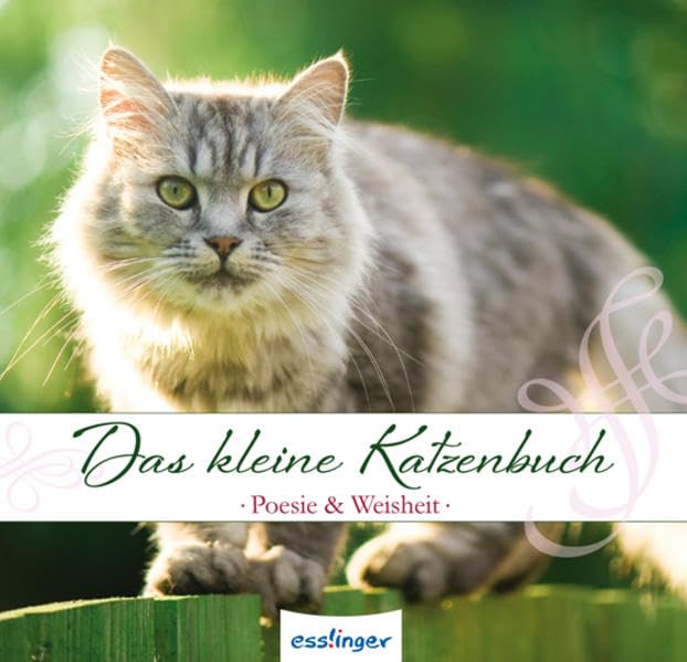 Das kleine Katzenbuch (Mini-Bücher für jeden Anlass) Lifestyle