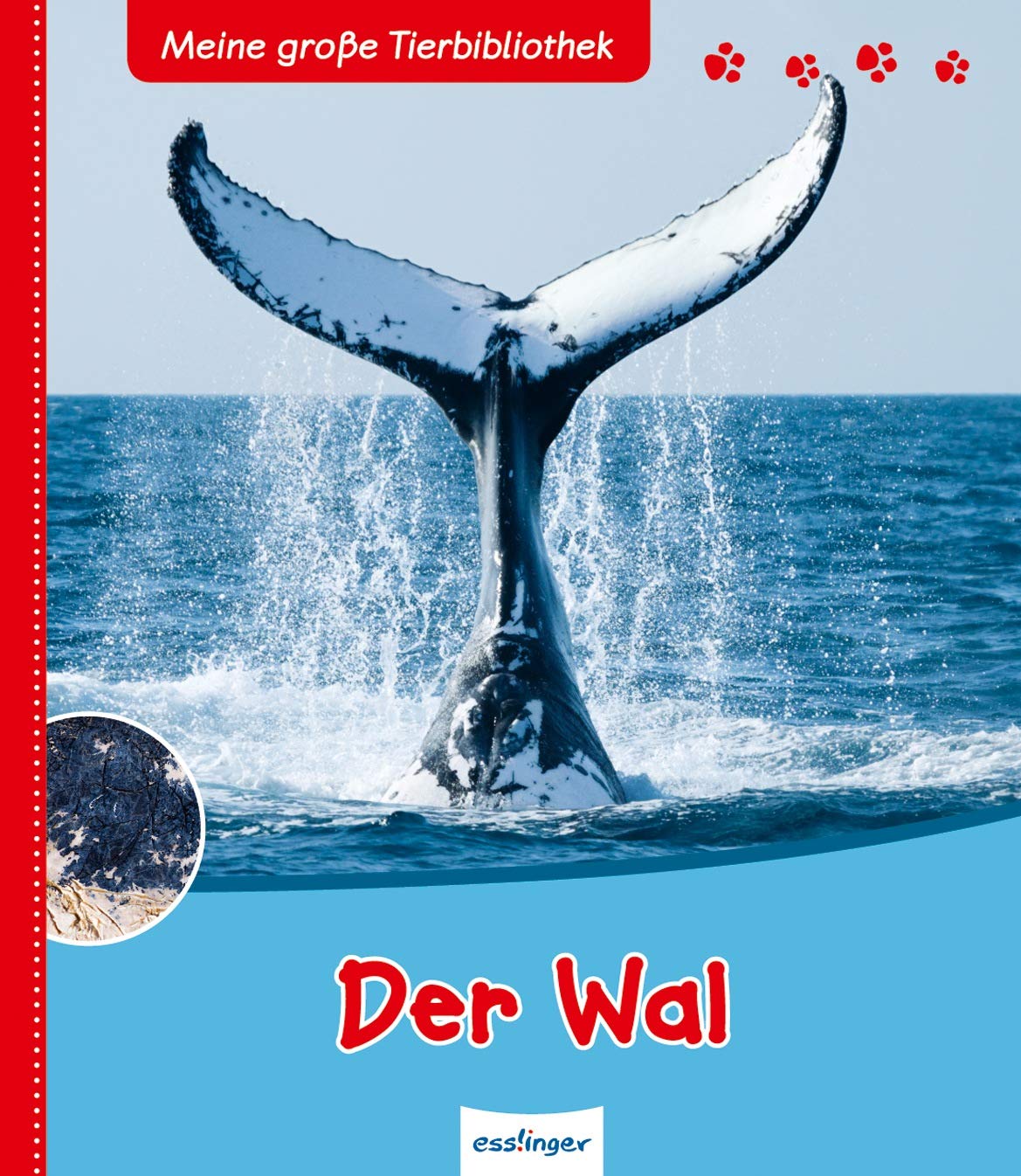 Product Image: Der Wal