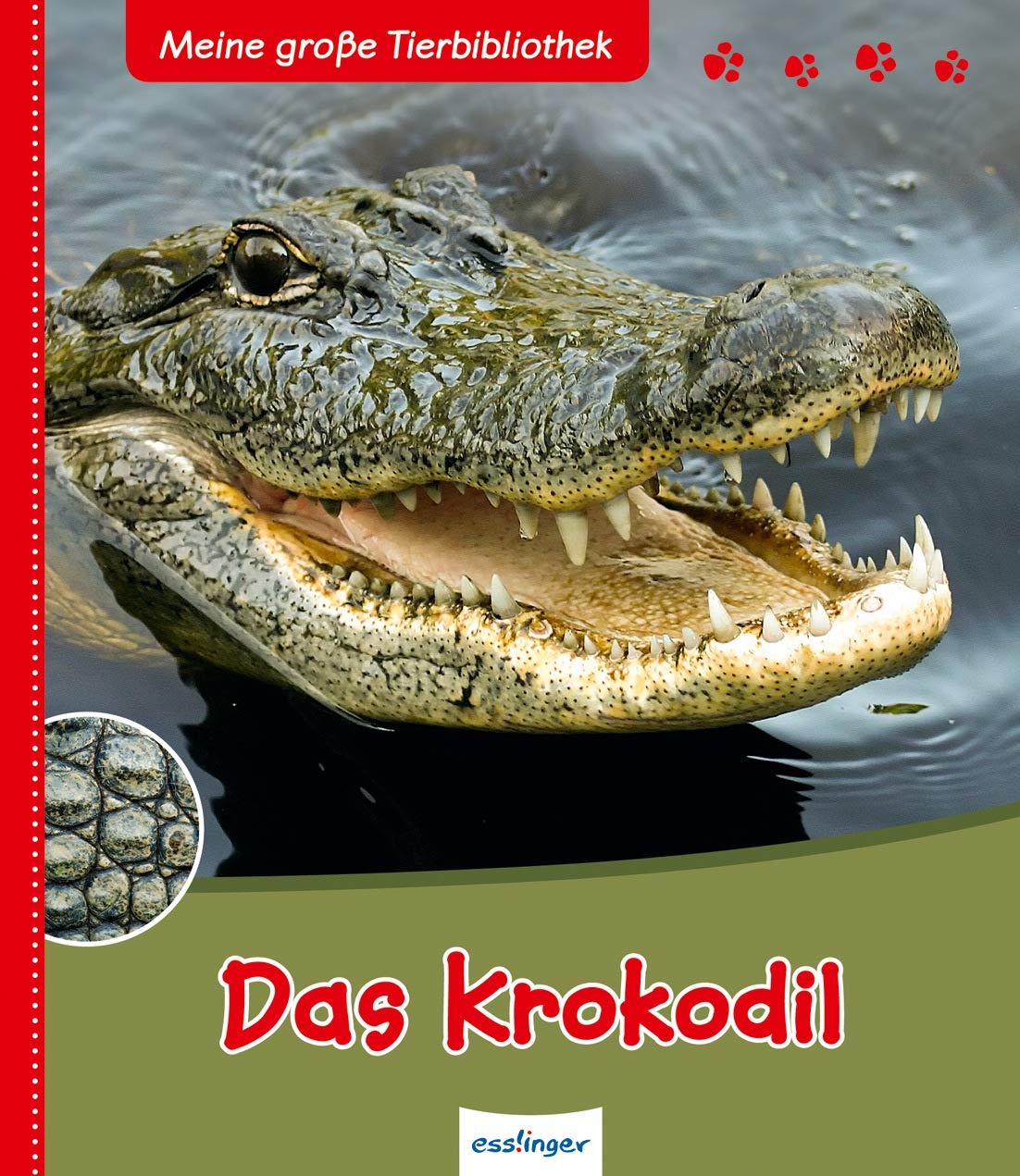 Das Krokodil Non-fiction books for kids