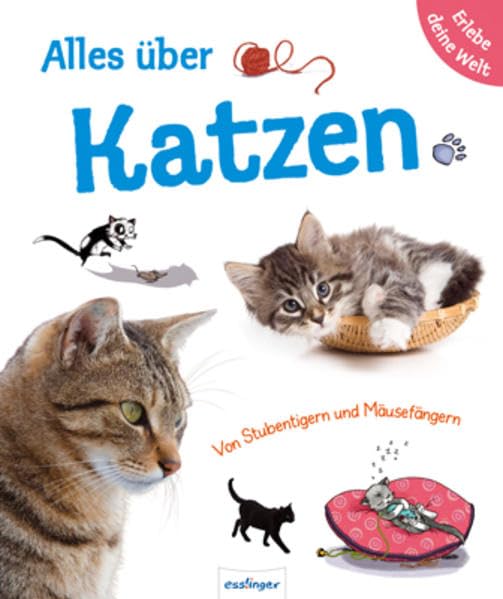 Alles über Katzen (Erlebe deine Welt) Non-fiction