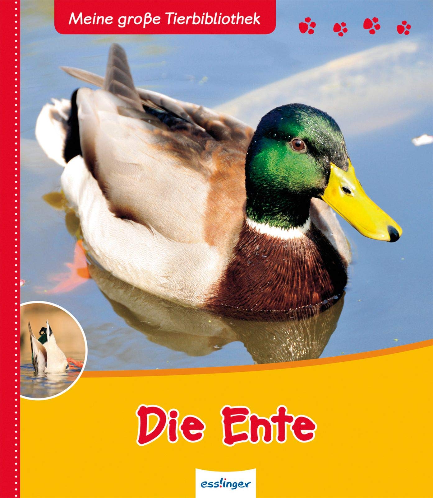 Meine große Tierbibliothek: Die Ente Novels & Short Stories
