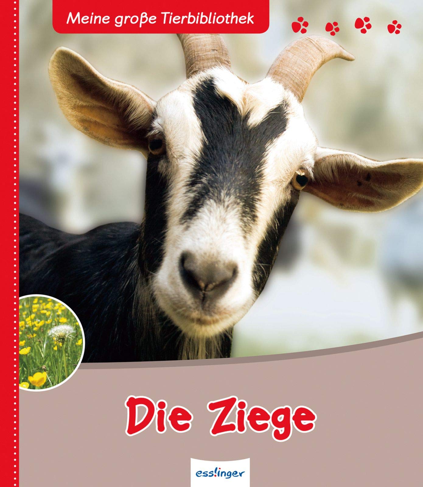 Die Ziege (Meine große Tierbibliothek) Non-fiction