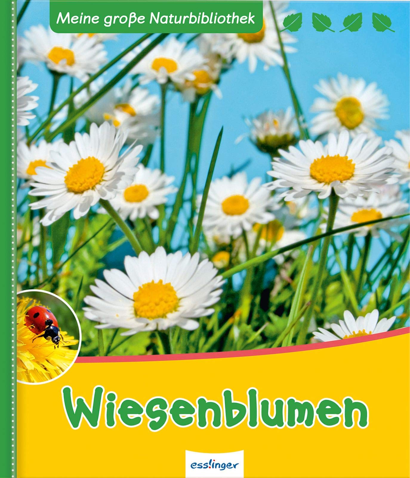 Wiesenblumen Non-fiction