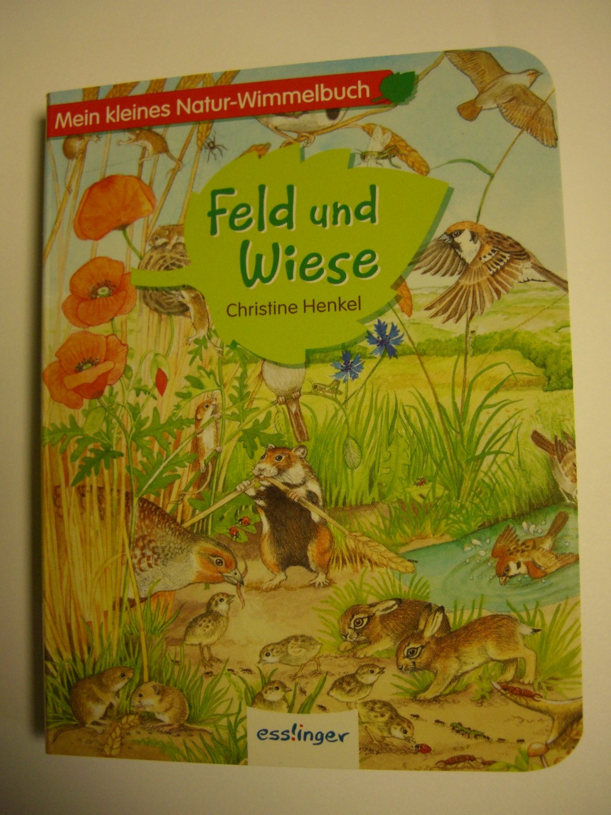 Feld und Wiese: Mein kleines Natur-Wimmelbuch Books