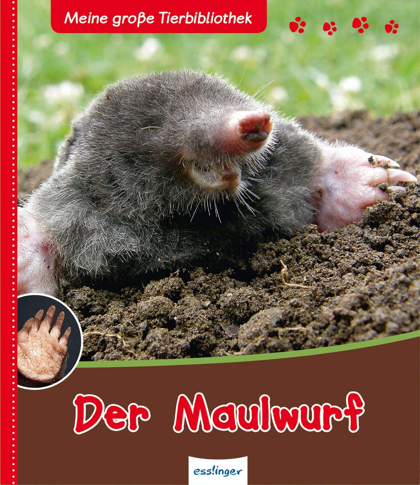 Meine große Tierbibliothek: Der Maulwurf Non-fiction