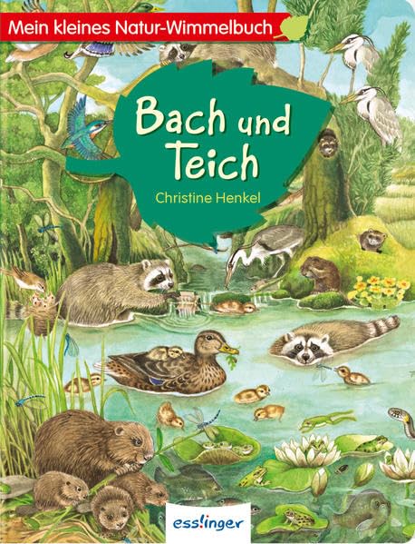 Mein kleines Natur-Wimmelbuch - Bach und Teich Non-fiction
