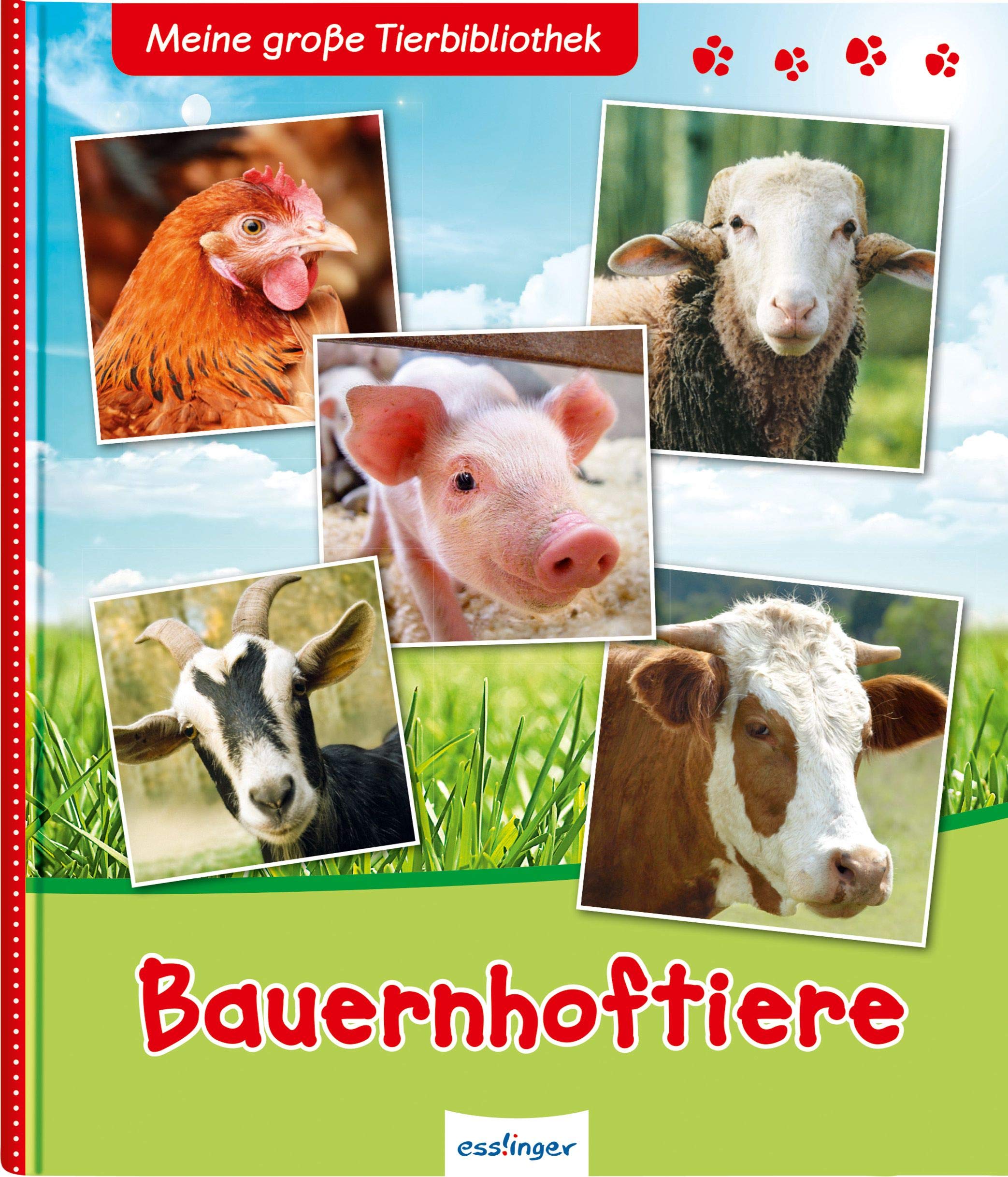 Meine große Tierbibliothek: Bauernhoftiere Non-fiction