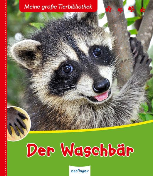Meine große Tierbibliothek: Der Waschbär Non-fiction