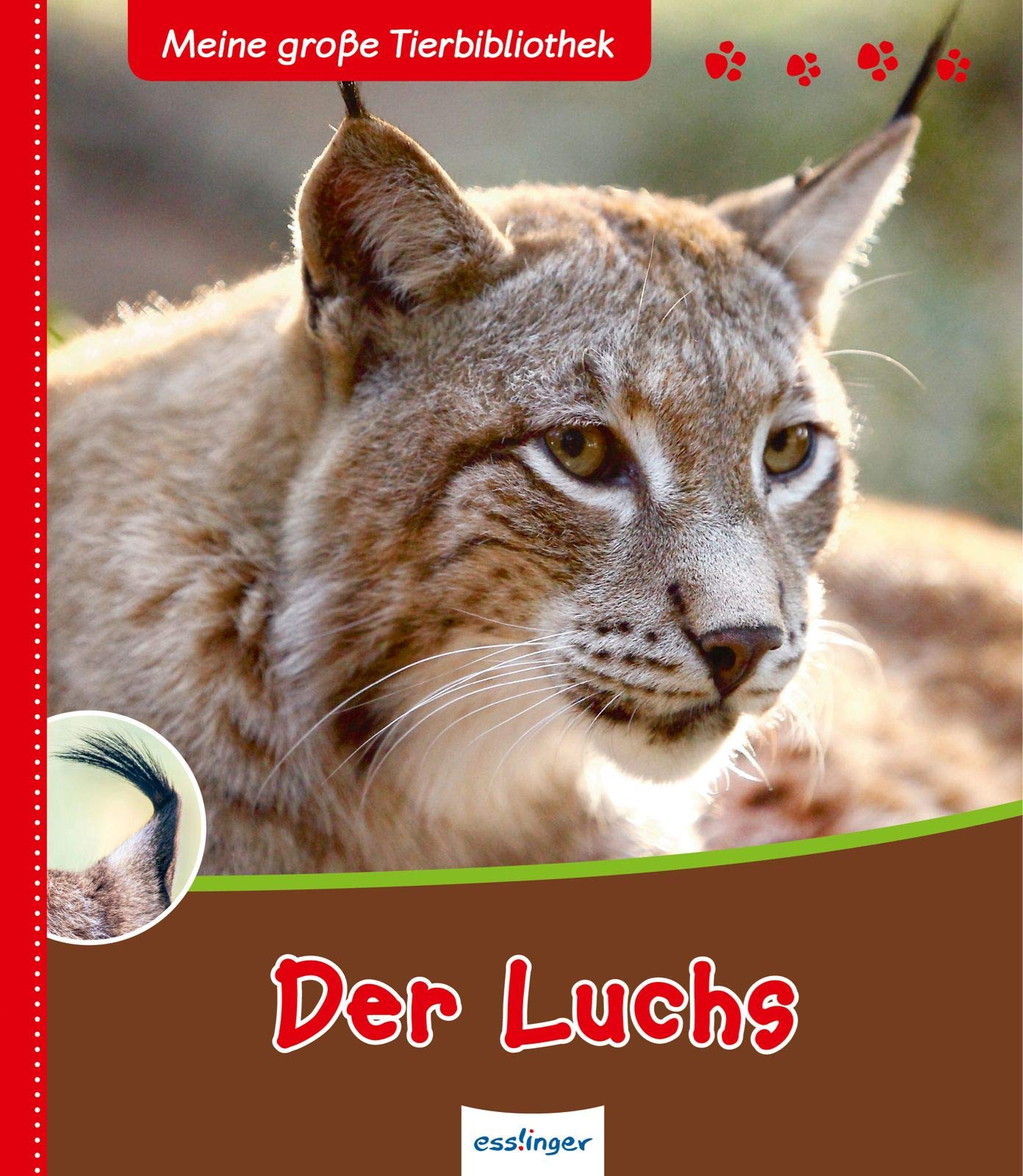 Meine große Tierbibliothek: Der Luchs Non-fiction
