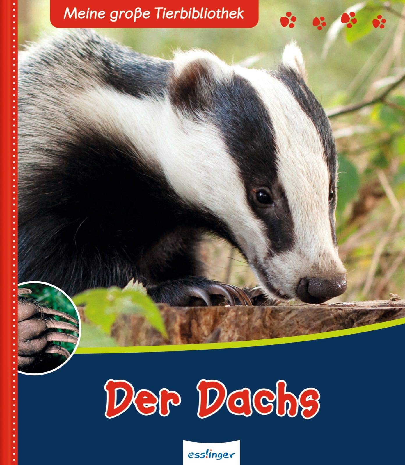 Meine große Tierbibliothek: Der Dachs Non-fiction