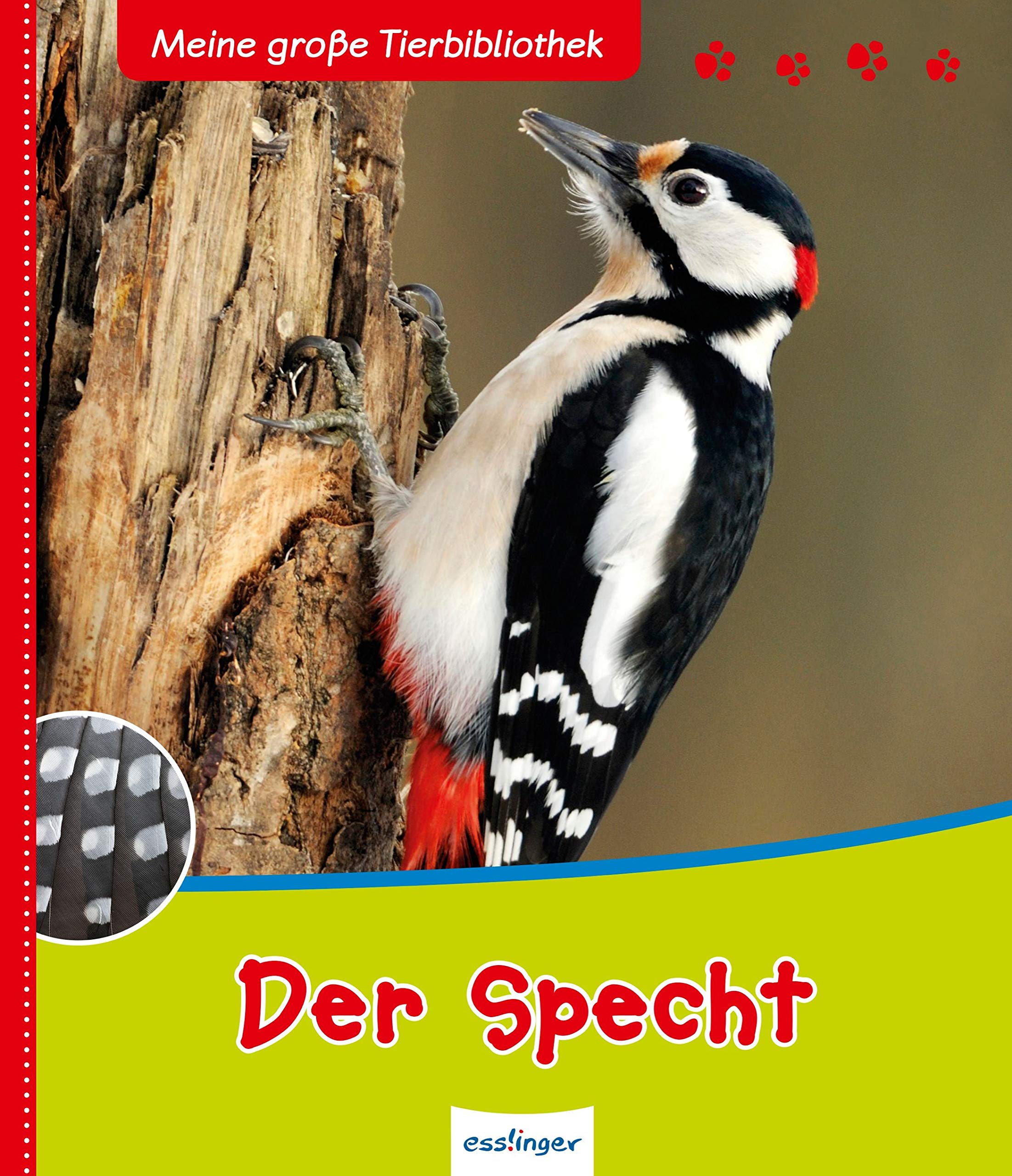 Meine große Tierbibliothek: Der Specht Non-fiction