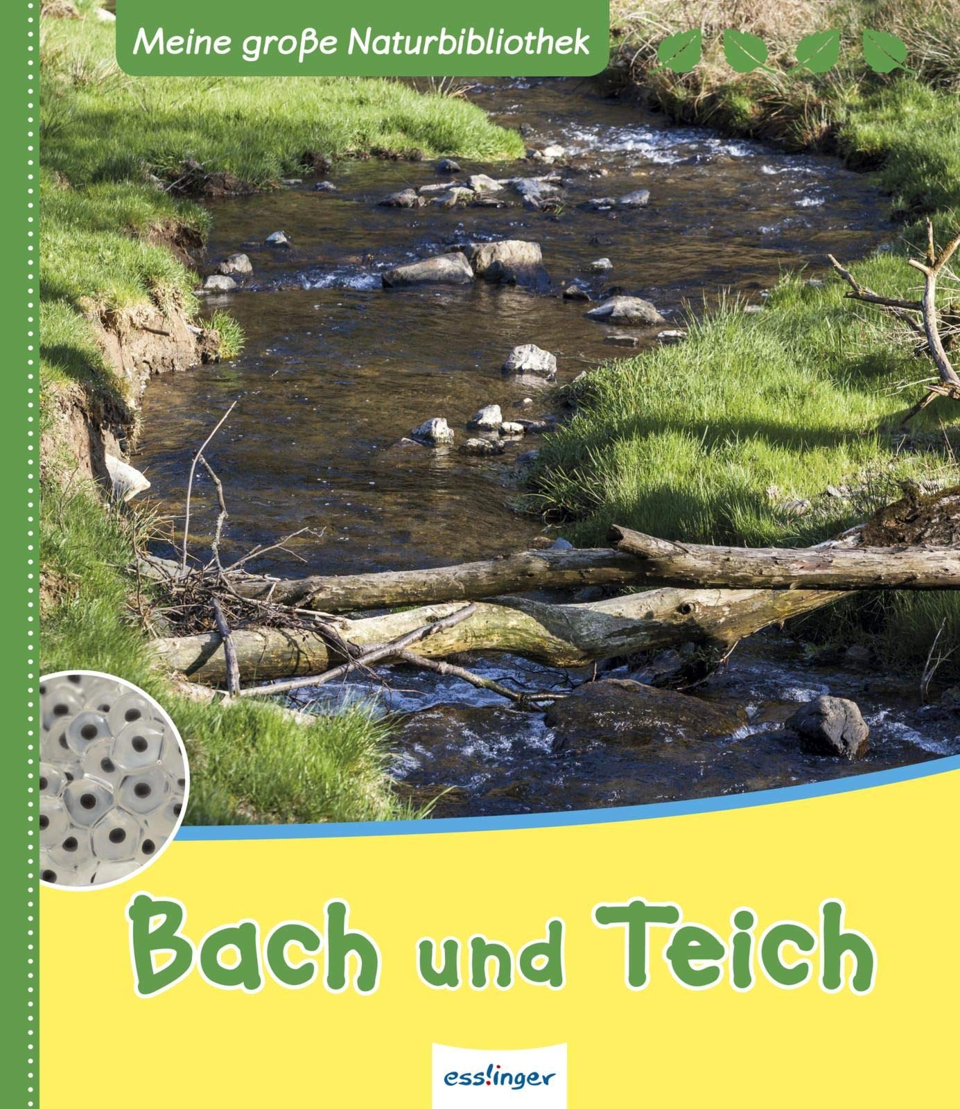 Meine große Naturbibliothek: Bach und Teich Non-fiction
