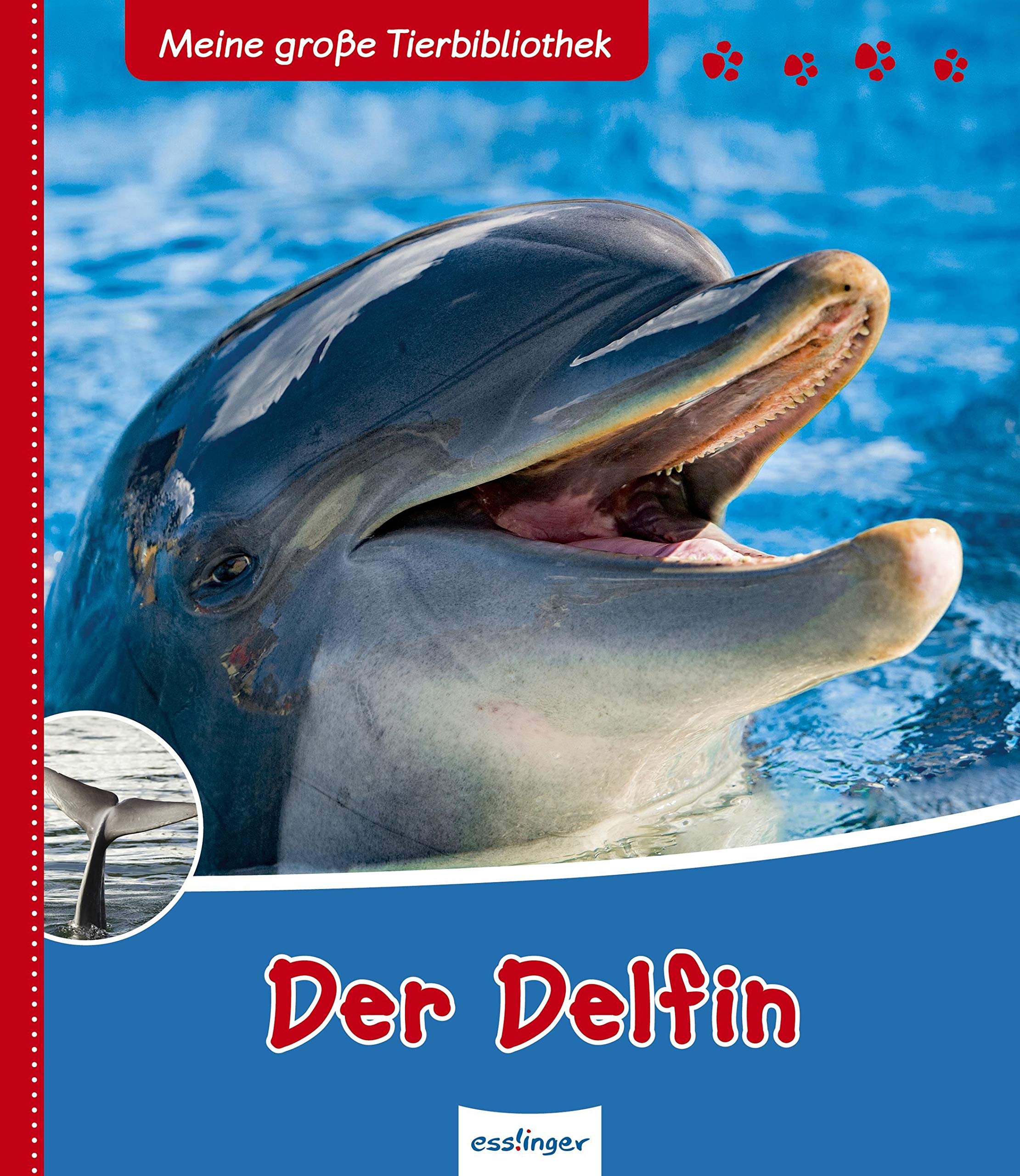 Meine große Tierbibliothek: Der Delfin Non-fiction
