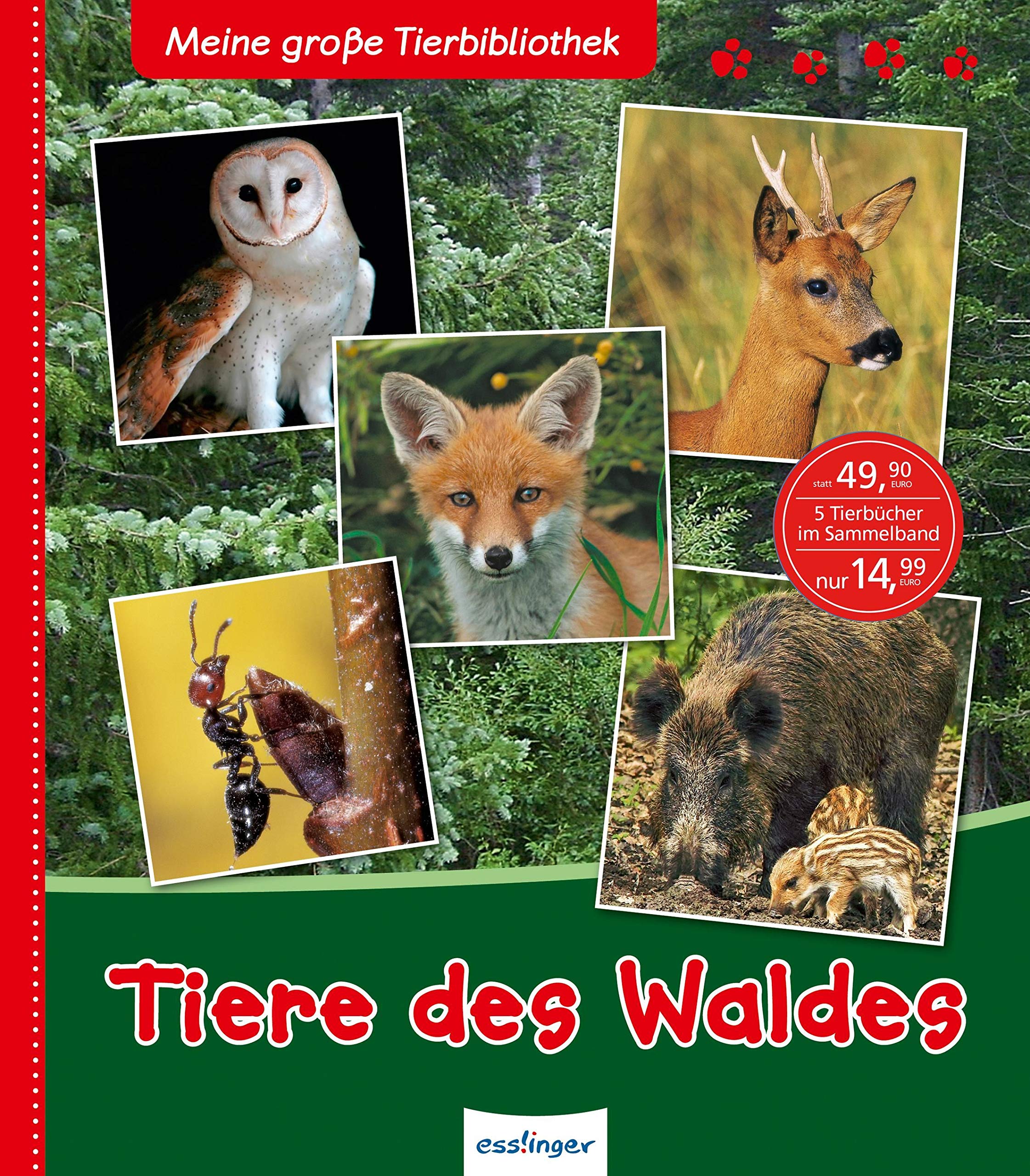 Meine große Tierbibliothek: Tiere des Waldes book