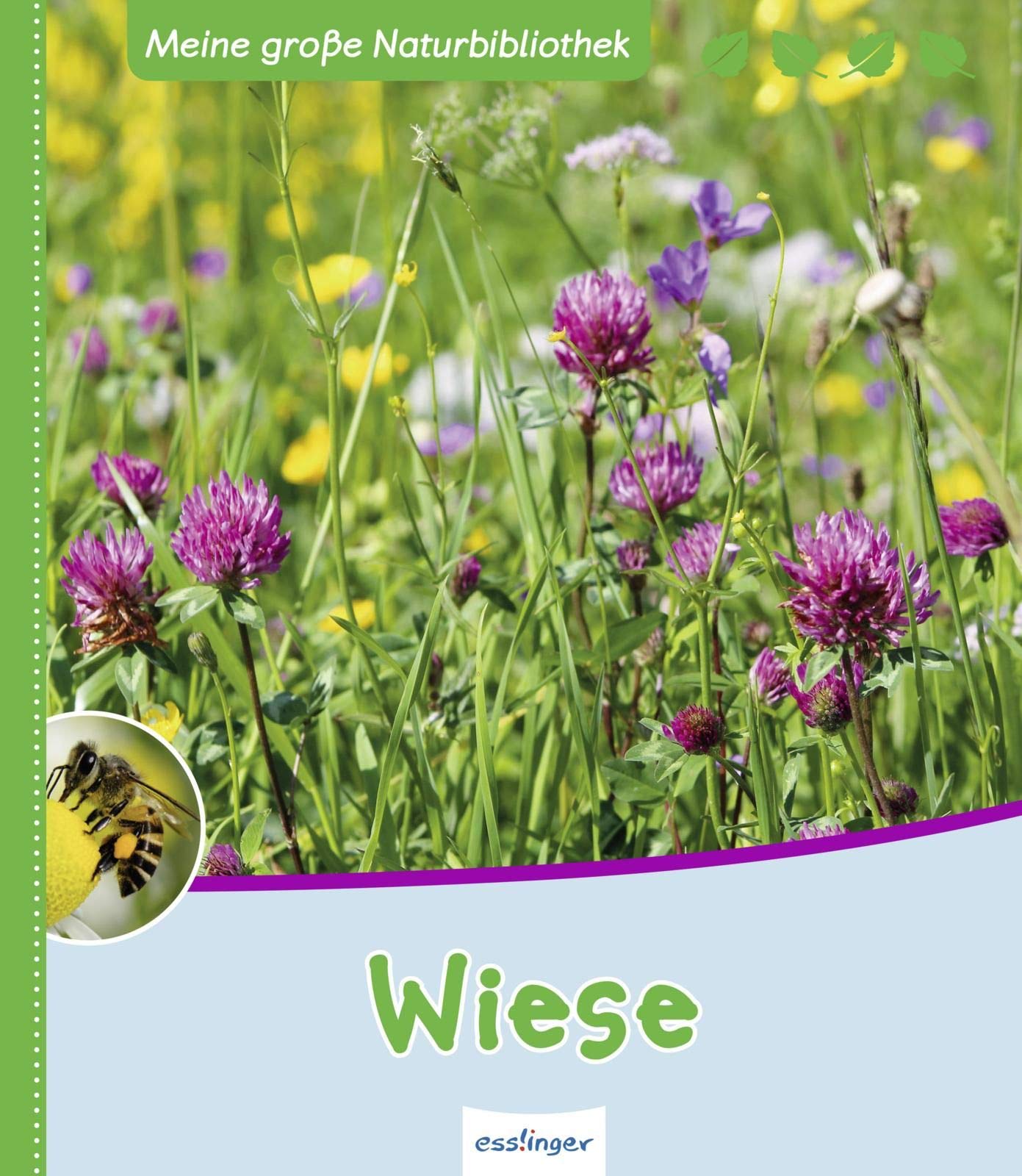 Meine große Naturbibliothek: Wiese Non-fiction