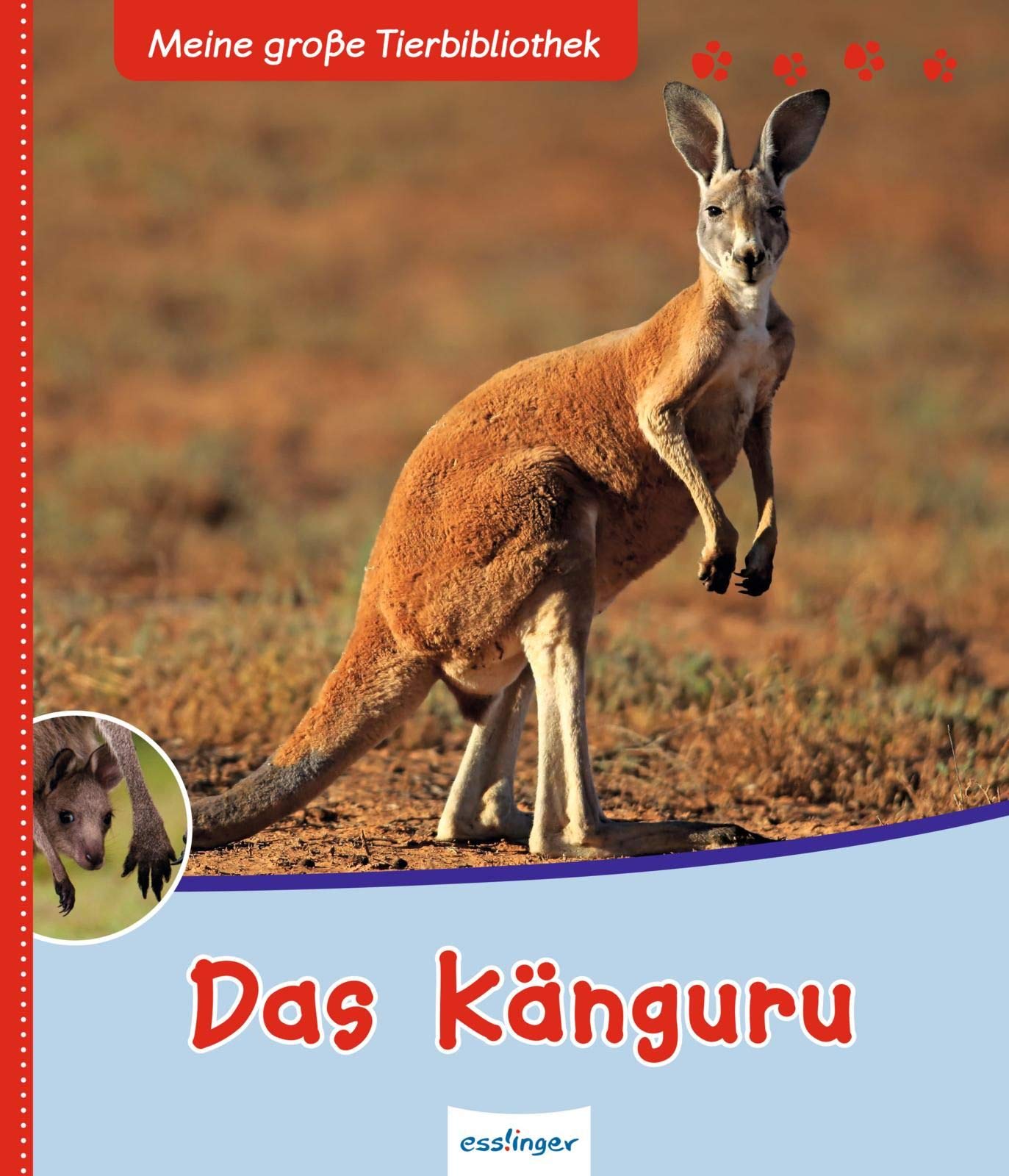 Meine große Tierbibliothek: Das Känguru Non-fiction