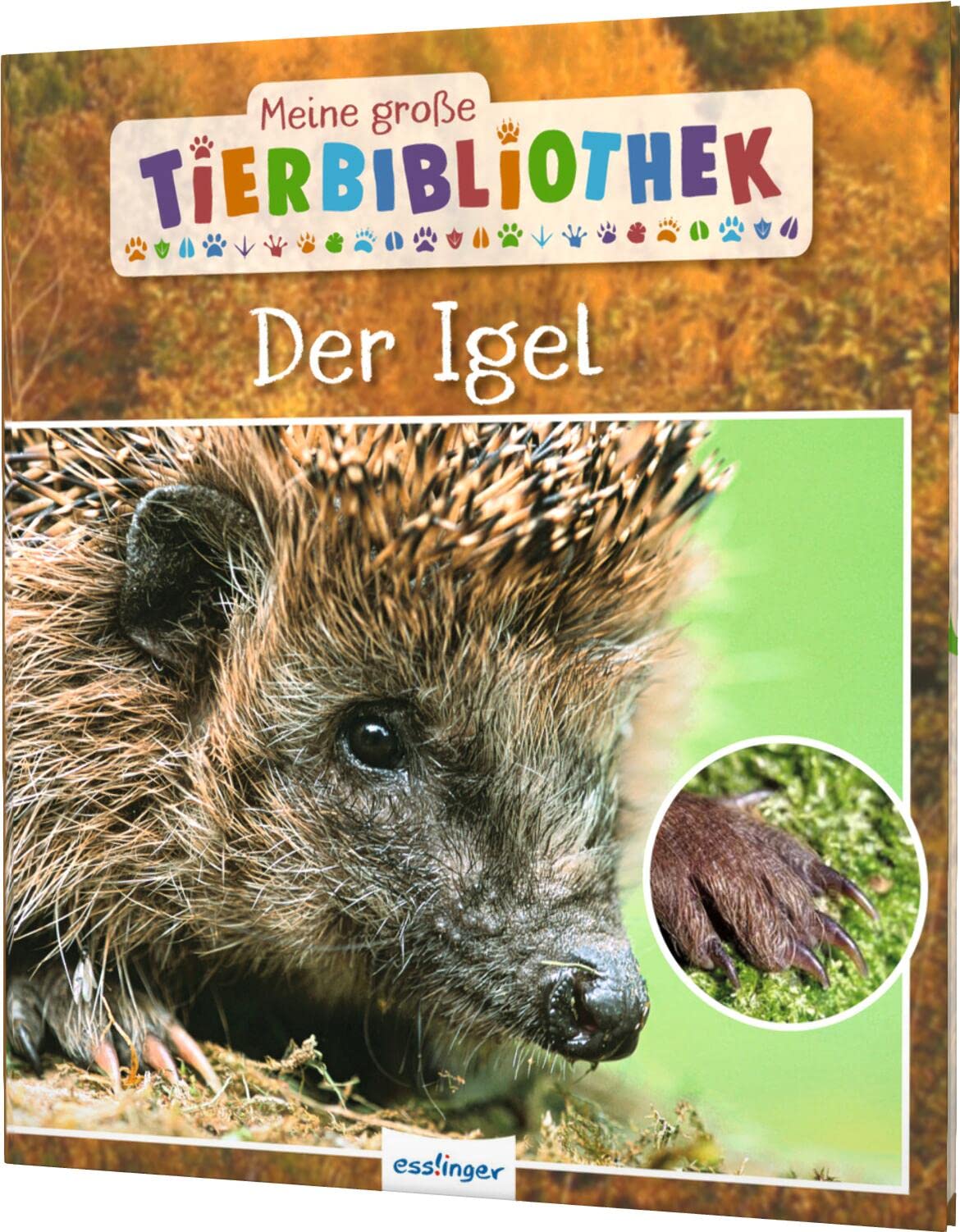 Meine große Tierbibliothek: Der Igel Non-fiction