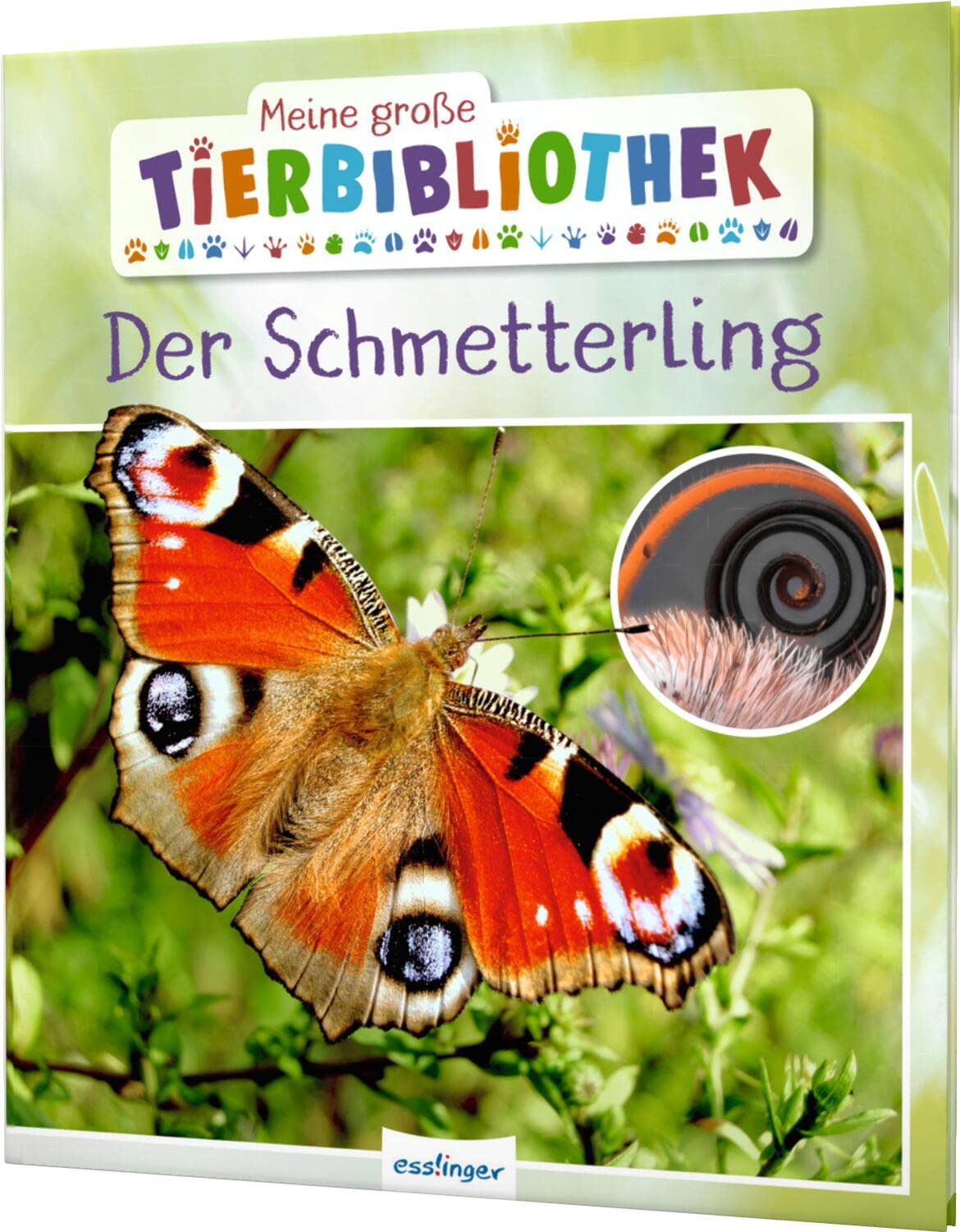 Meine große Tierbibliothek: Der Schmetterling Leisure, Home & Garden