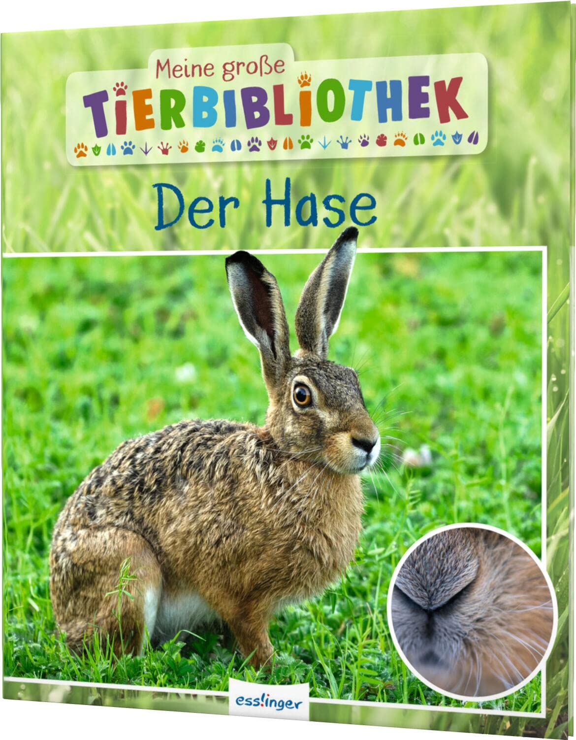 Meine große Tierbibliothek: Der Hase Non-fiction