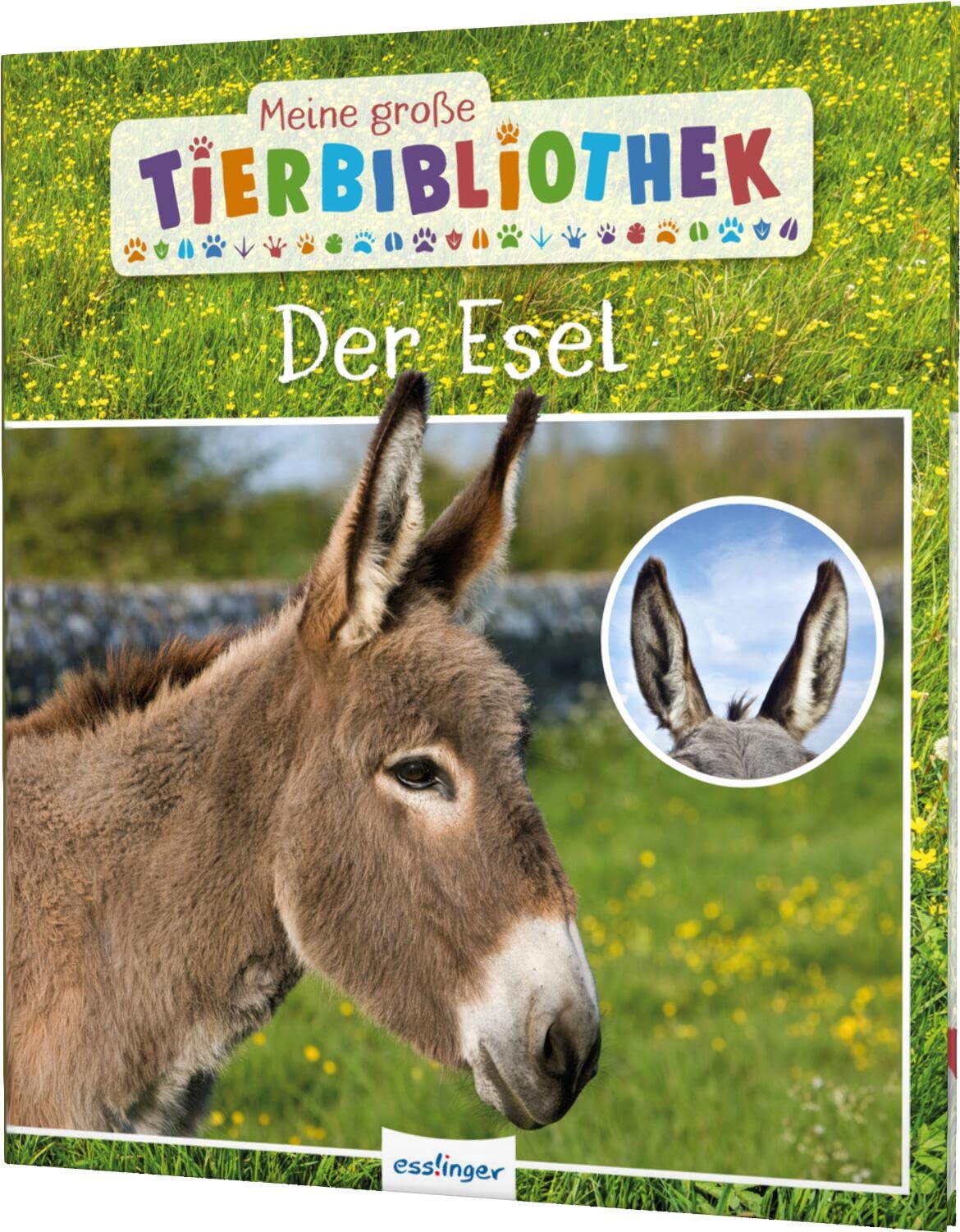 Meine große Tierbibliothek: Der Esel Non-fiction