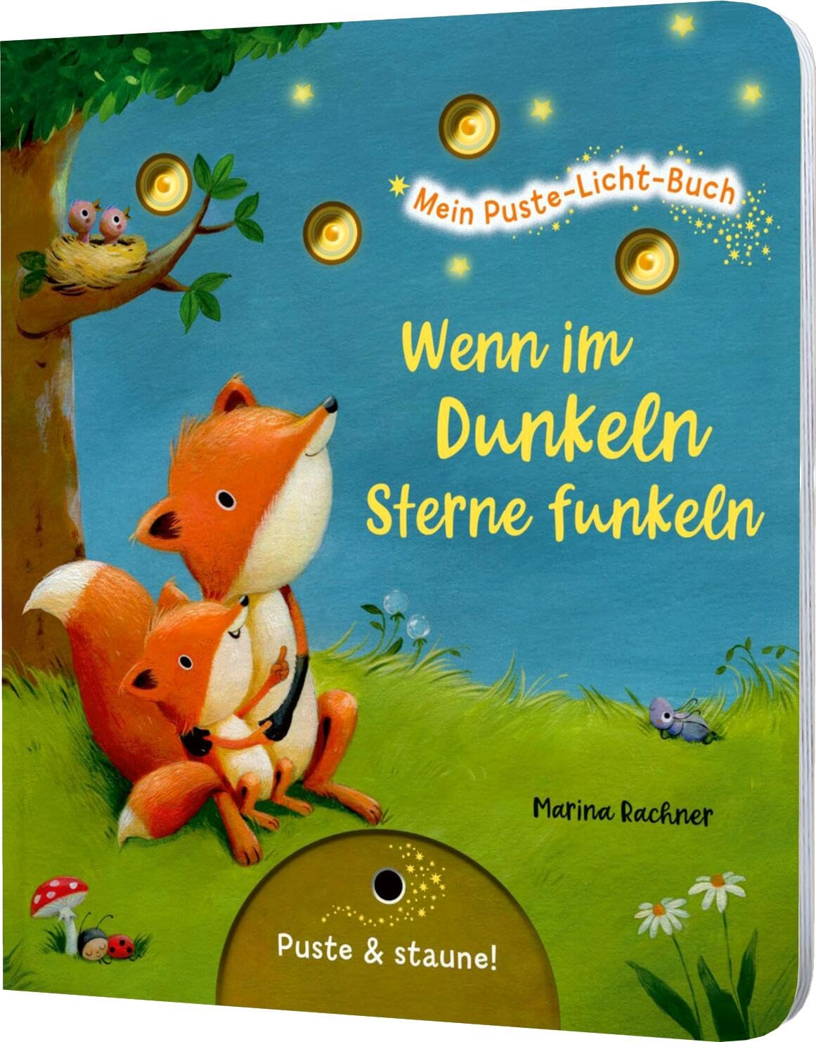 Mein Puste-Licht-Buch: Wenn im Dunkeln Sterne funkeln Non-fiction