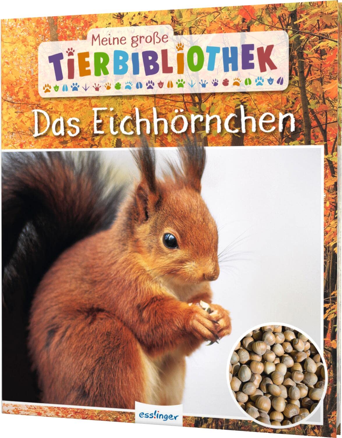 Product Image: Meine große Tierbibliothek: Das Eichhörnchen