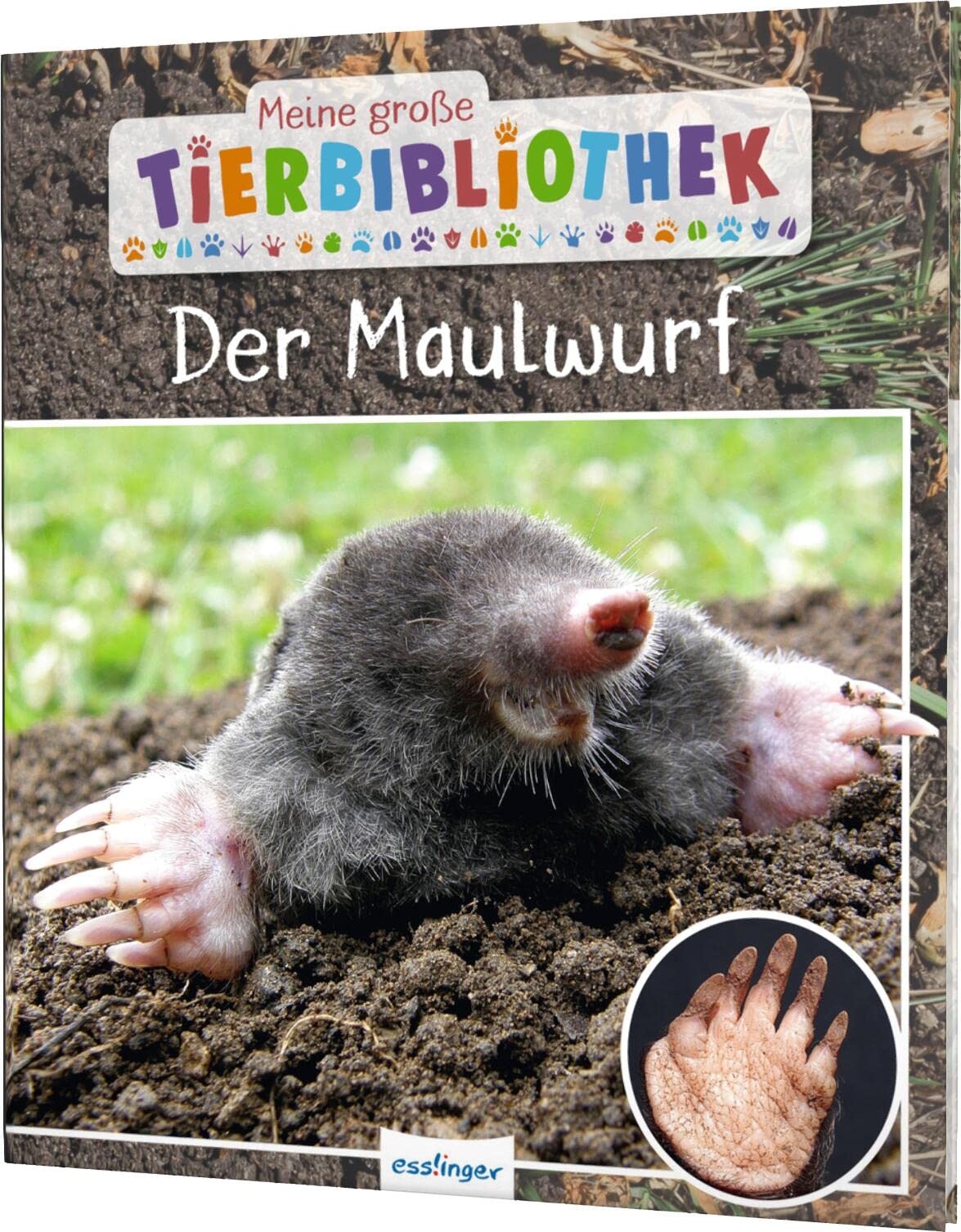 Meine große Tierbibliothek: Der Maulwurf: Sachbuch für Vorschule & Grundschule Business & Technology