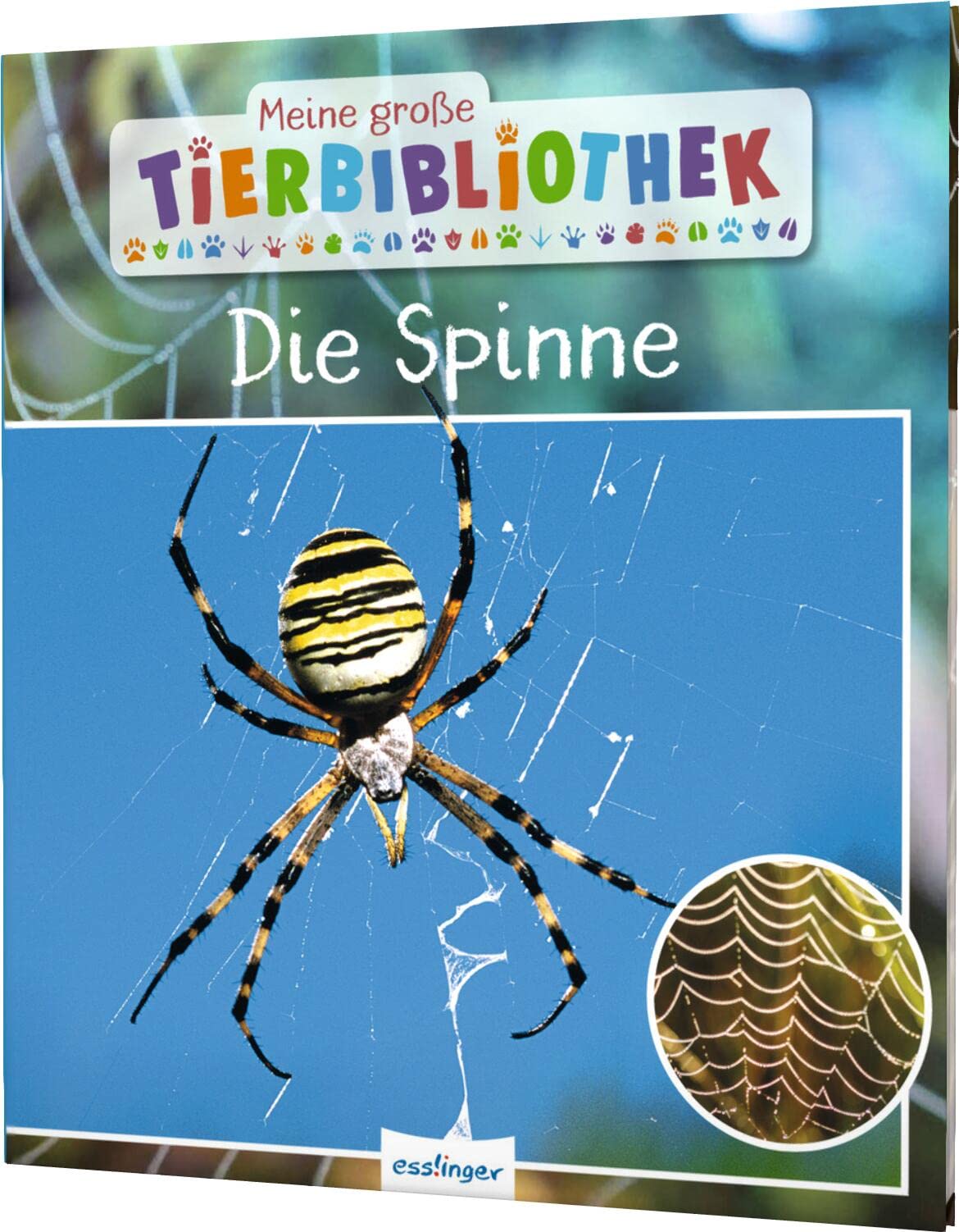 Meine große Tierbibliothek: Die Spinne Non-fiction