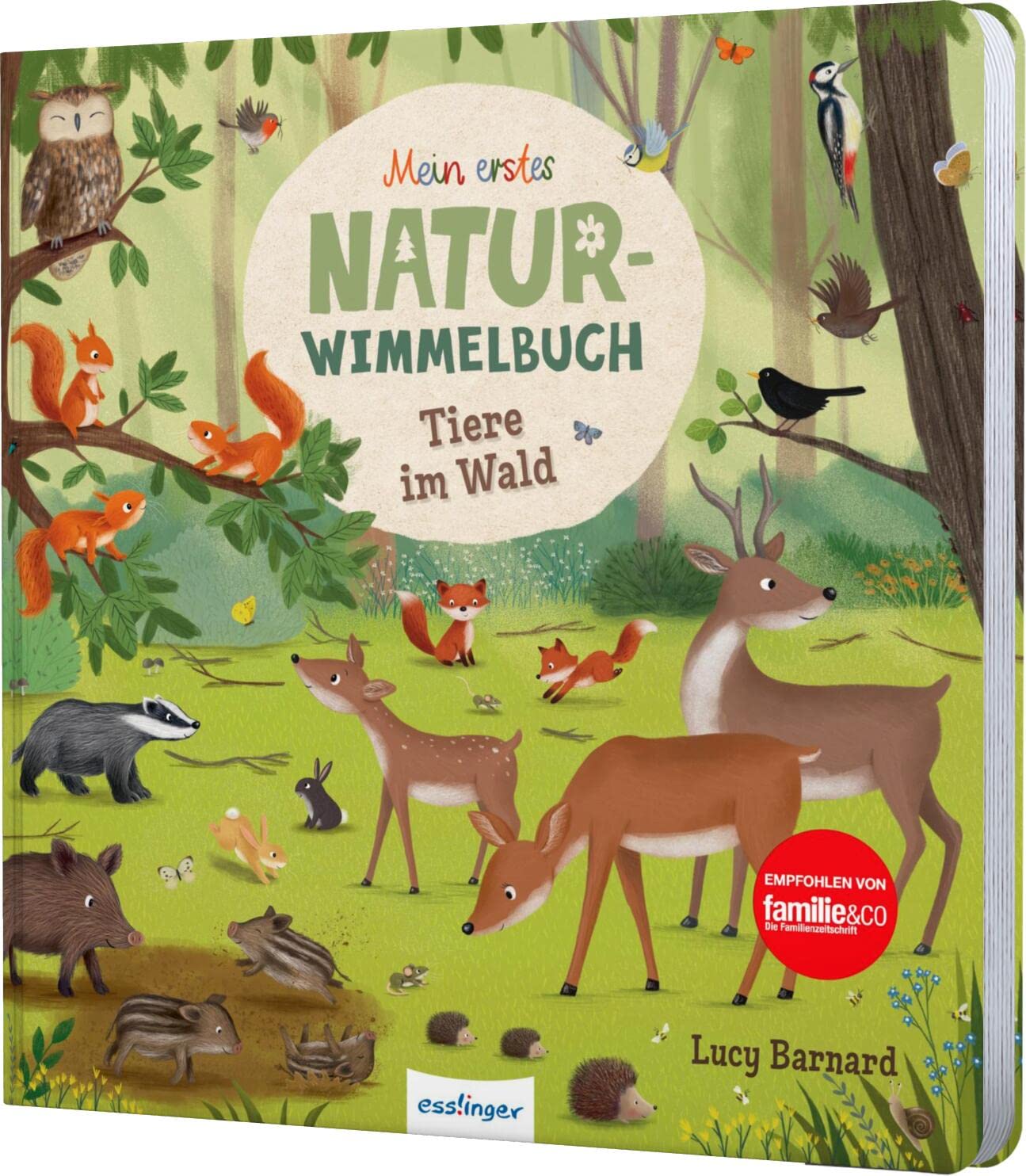 Mein erstes Natur-Wimmelbuch: Tiere im Wald Non-fiction