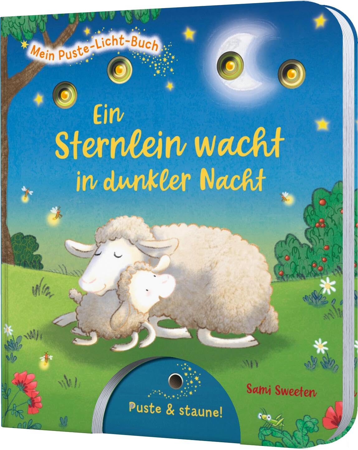 Mein Puste-Licht-Buch: Ein Sternlein wacht in dunkler Nacht Non-fiction