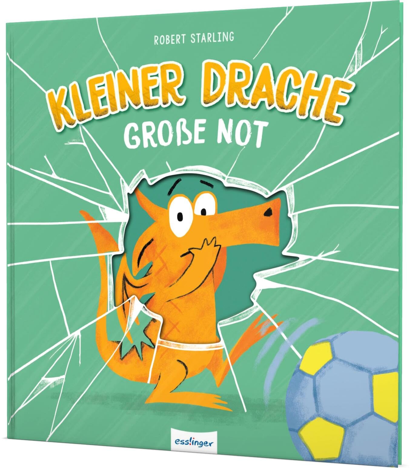 Kleiner Drache Finn: Kleiner Drache, große Not Non-fiction