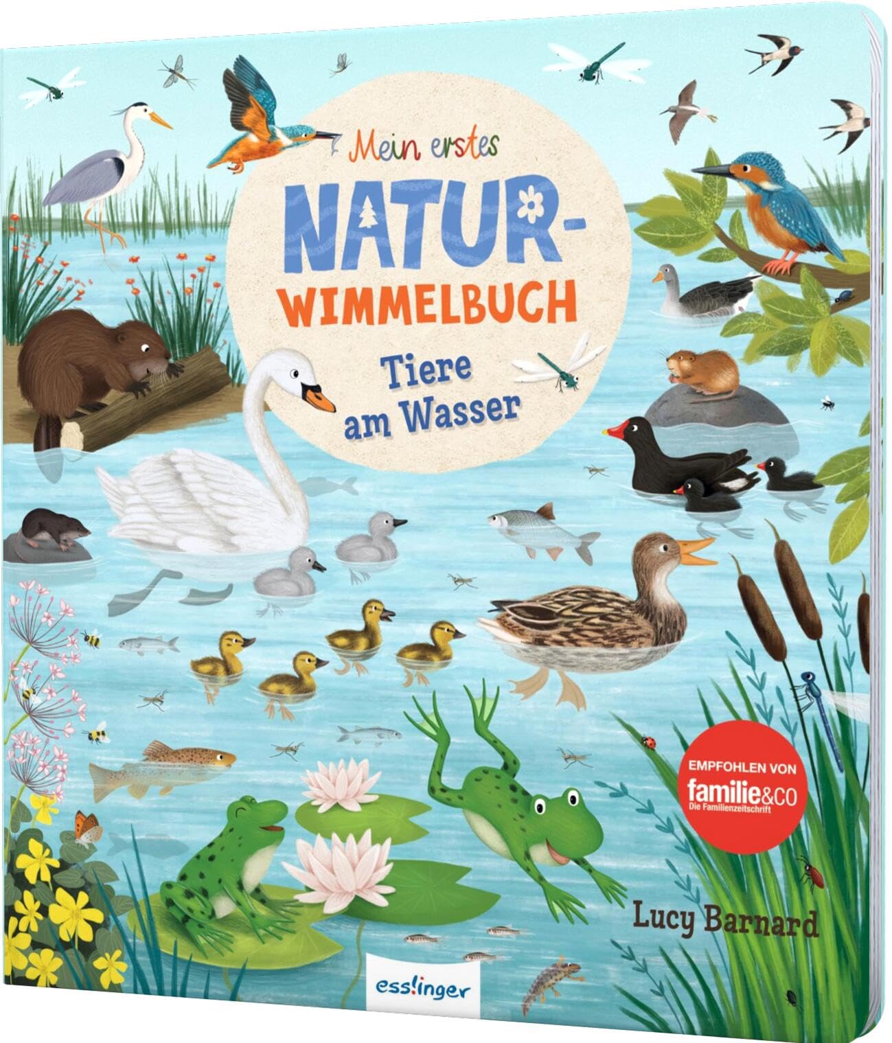 Mein erstes Natur-Wimmelbuch: Tiere am Wasser Non-fiction