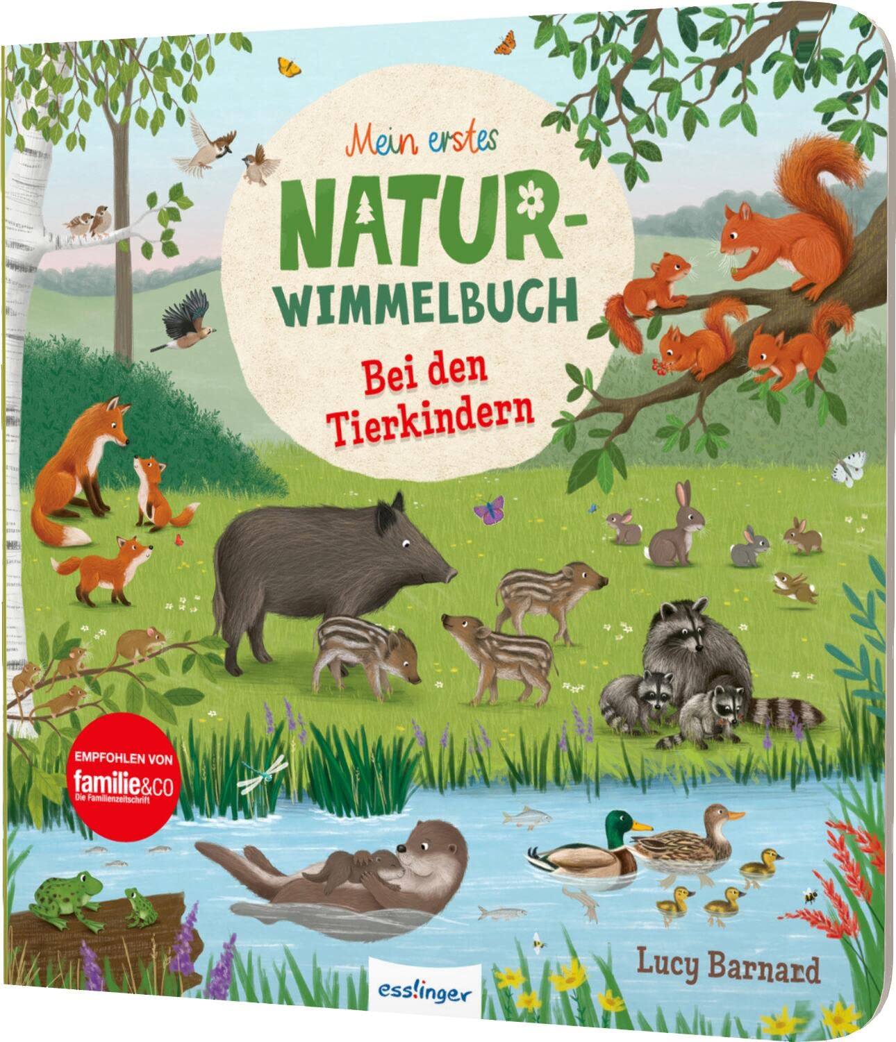 Mein erstes Natur-Wimmelbuch: Bei den Tierkindern: Mit Suchaufgaben & kurzer Geschichte Non-fiction