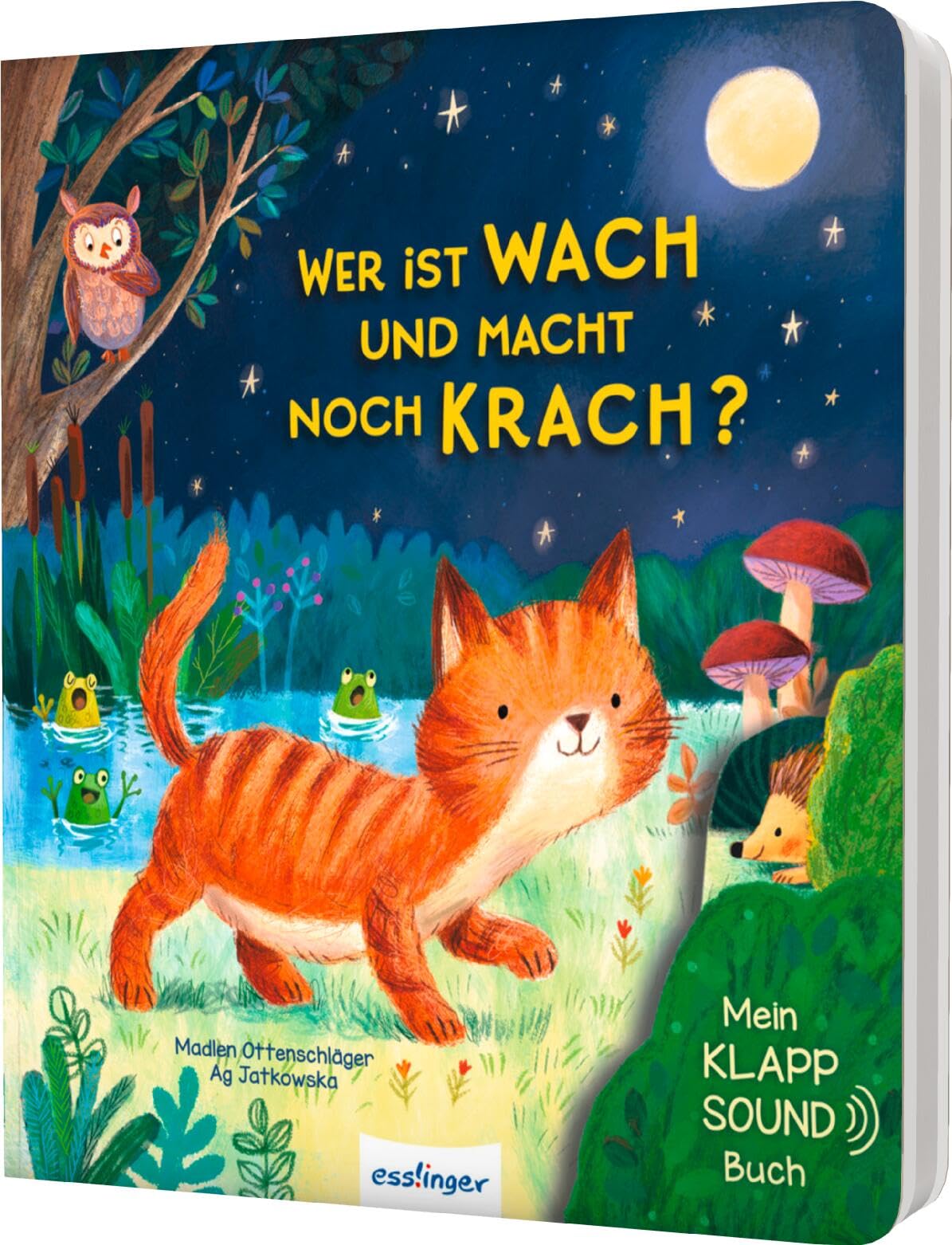 Mein Klapp-Sound-Buch: Wer ist wach und macht noch Krach? Non-fiction