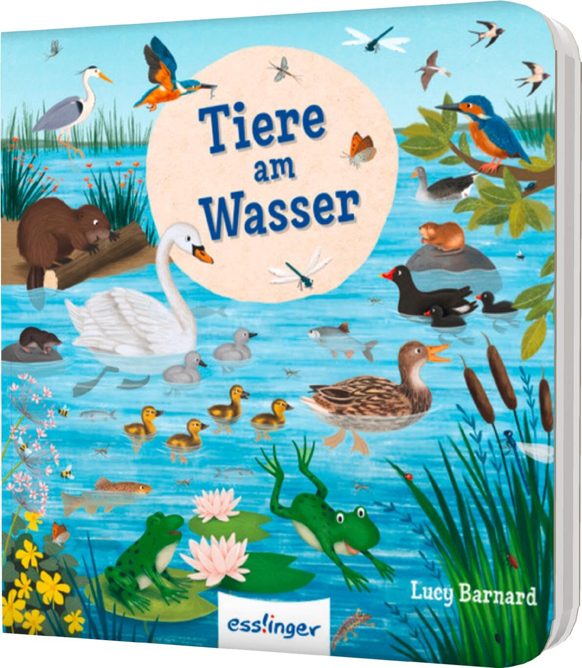 Mein erstes Natur-Wimmelbuch: Tiere am Wasser - Mini-Ausgabe Non-fiction