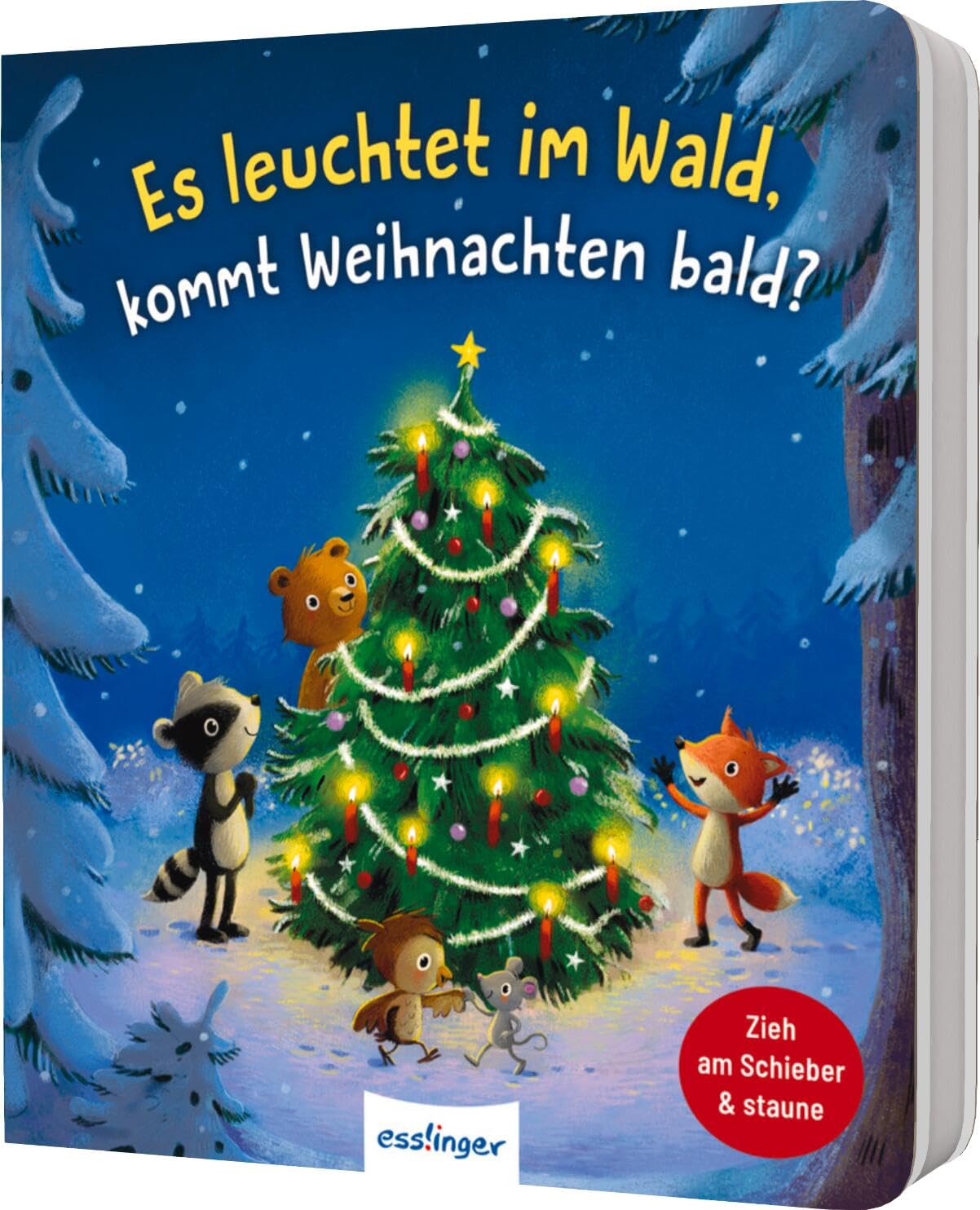 Es leuchtet im Wald, kommt Weihnachten bald? Non-fiction