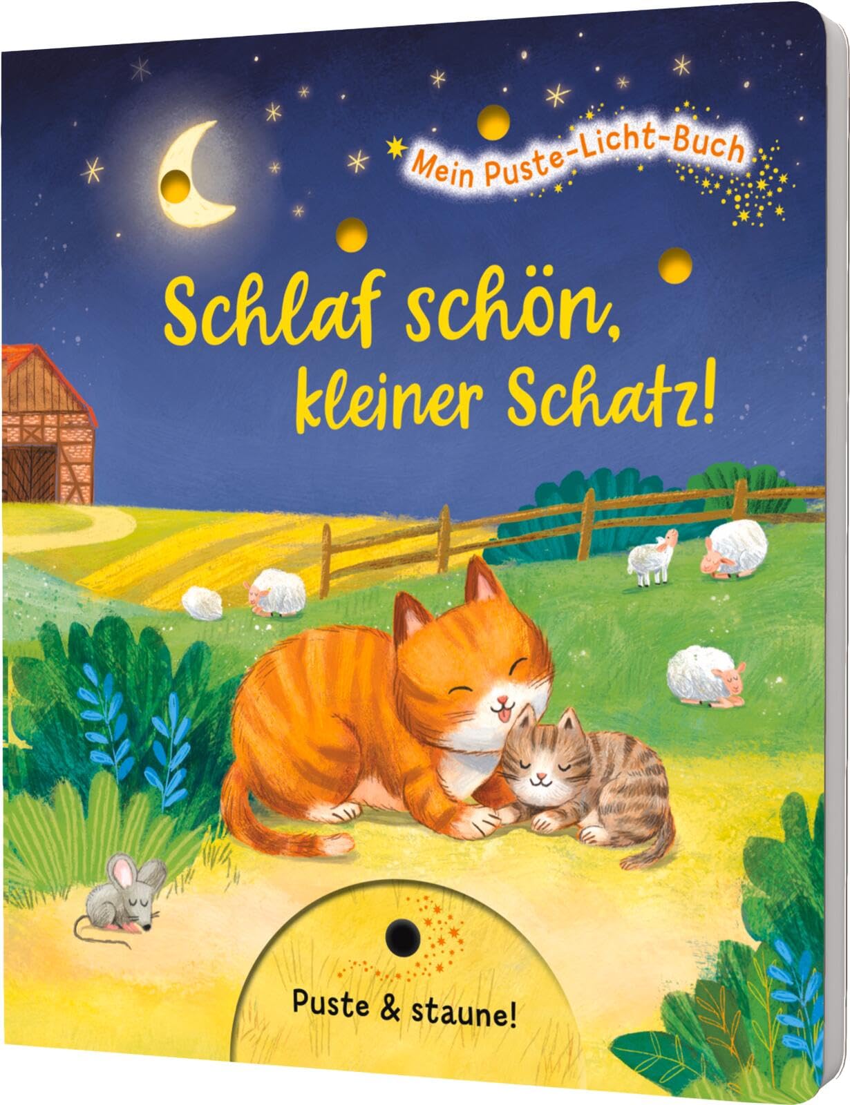 Mein Puste-Licht-Buch: Schlaf schön, kleiner Schatz! Non-fiction