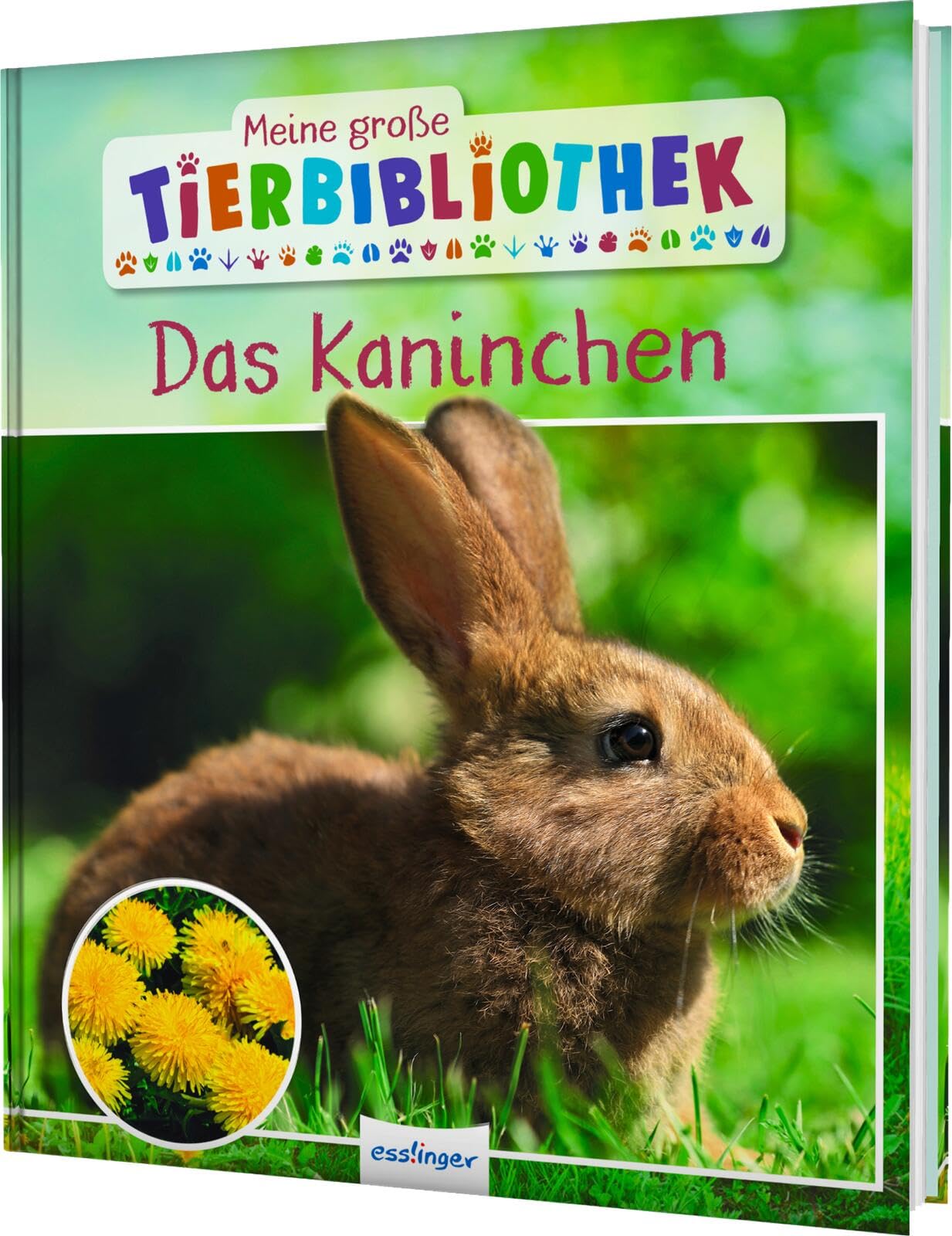 Meine große Tierbibliothek: Das Kaninchen Non-fiction