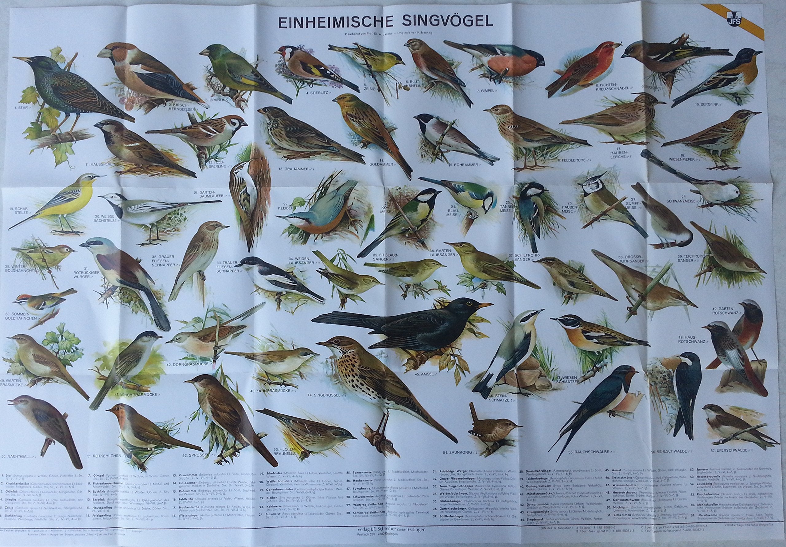 Einheimische Singvögel. Gefalzt in Buchform. Zehnfarbige Chromolithographie Books