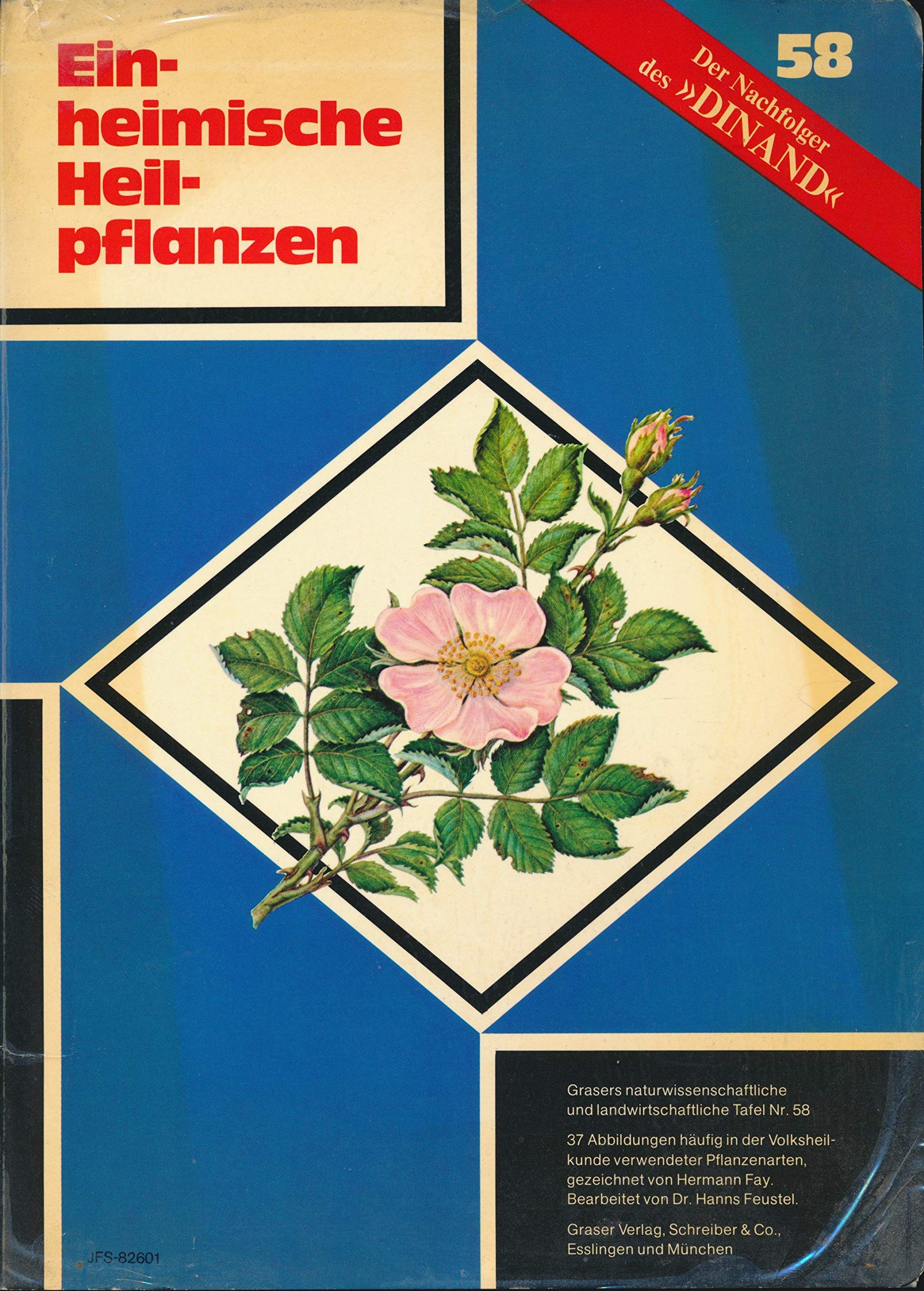 Einheimische Heilpflanzen: Ausgabe B: Gefalzt Books