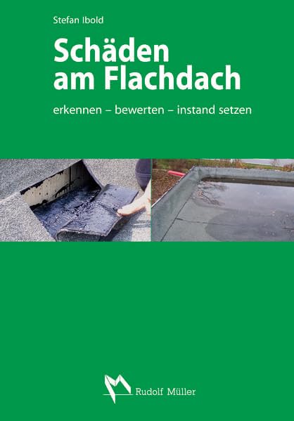 Schäden am Flachdach: erkennen - bewerten - instand setzen Business & Technology