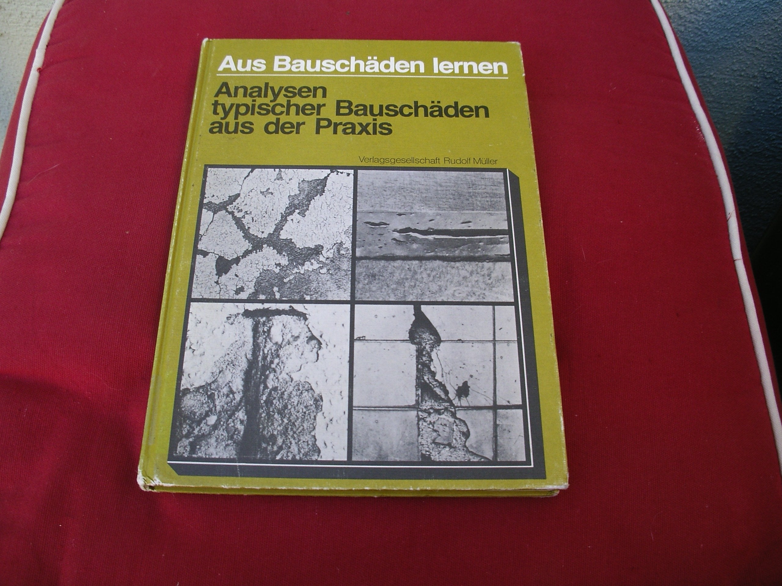 Aus Bauschäden lernen - Analysen typischer Bauschäden aus der Praxis Contemporary literature
