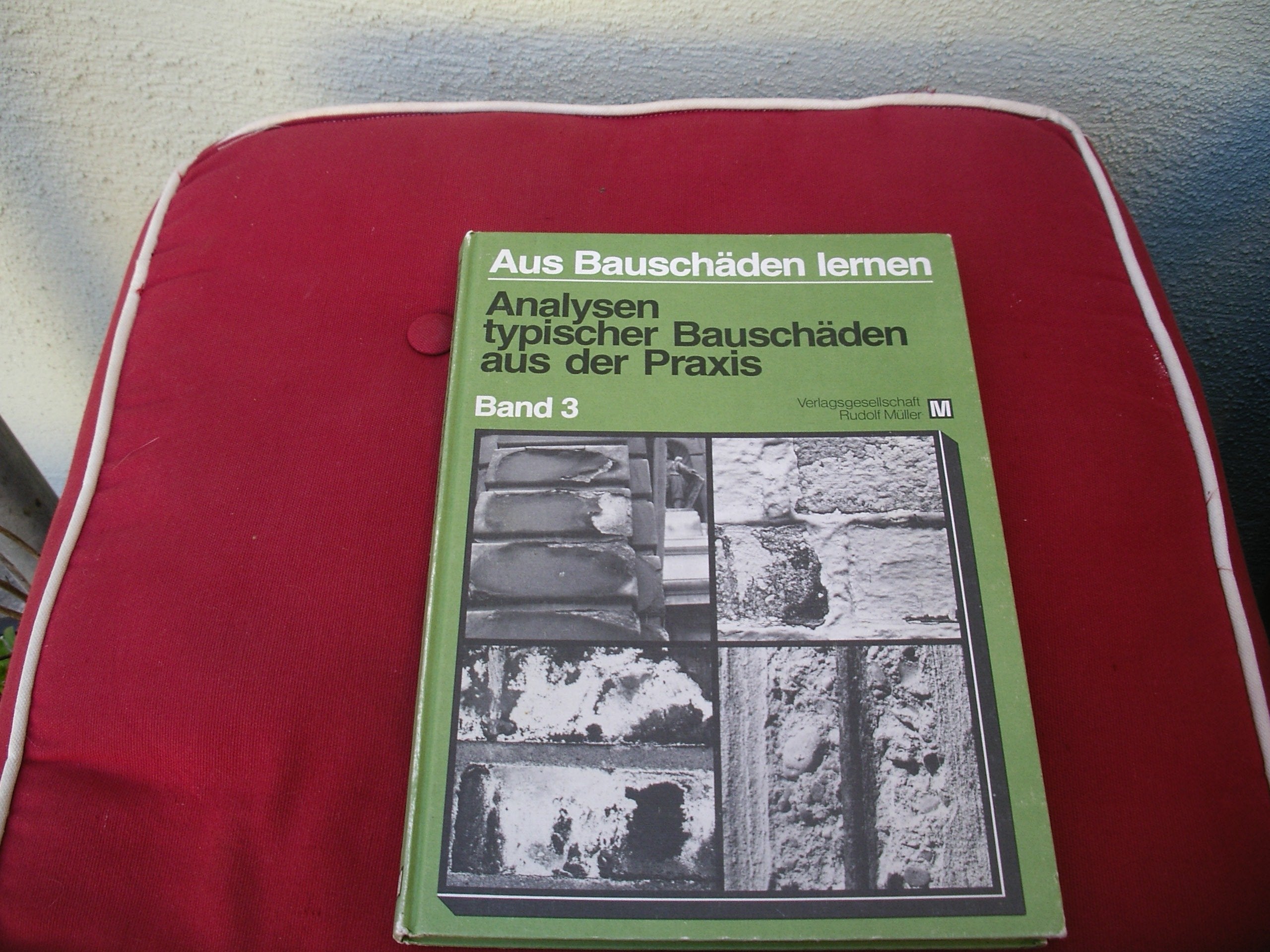 Aus Bauschäden lernen: Analysen typischer Bauschäden aus der Praxis. Schadensbild - Schadensursache - Sanierung Books
