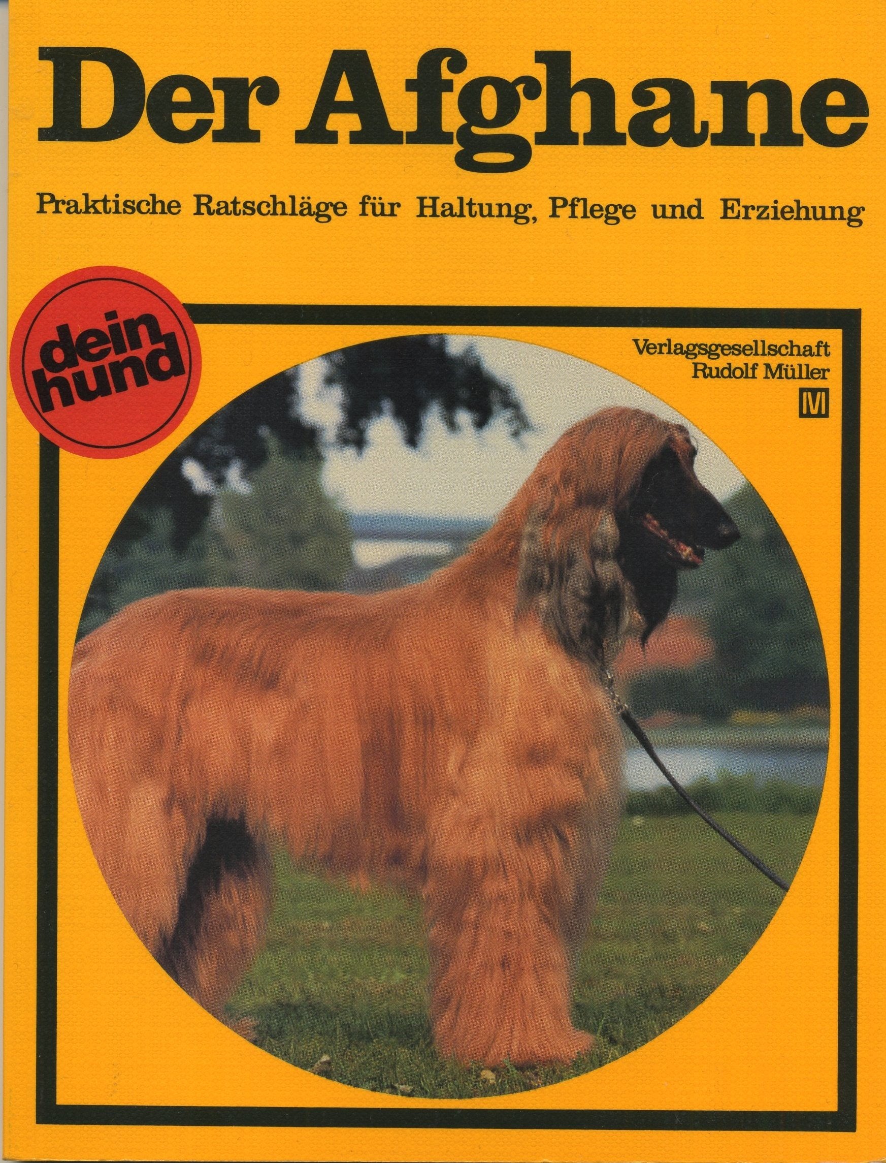 Der Afghane : Saluki - Sloughi - Sloughi-Azawakh , oriental. Windhunde , . Books