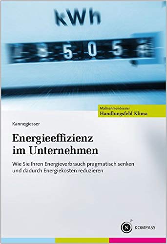 Energieeffizienz im Unternehmen Law