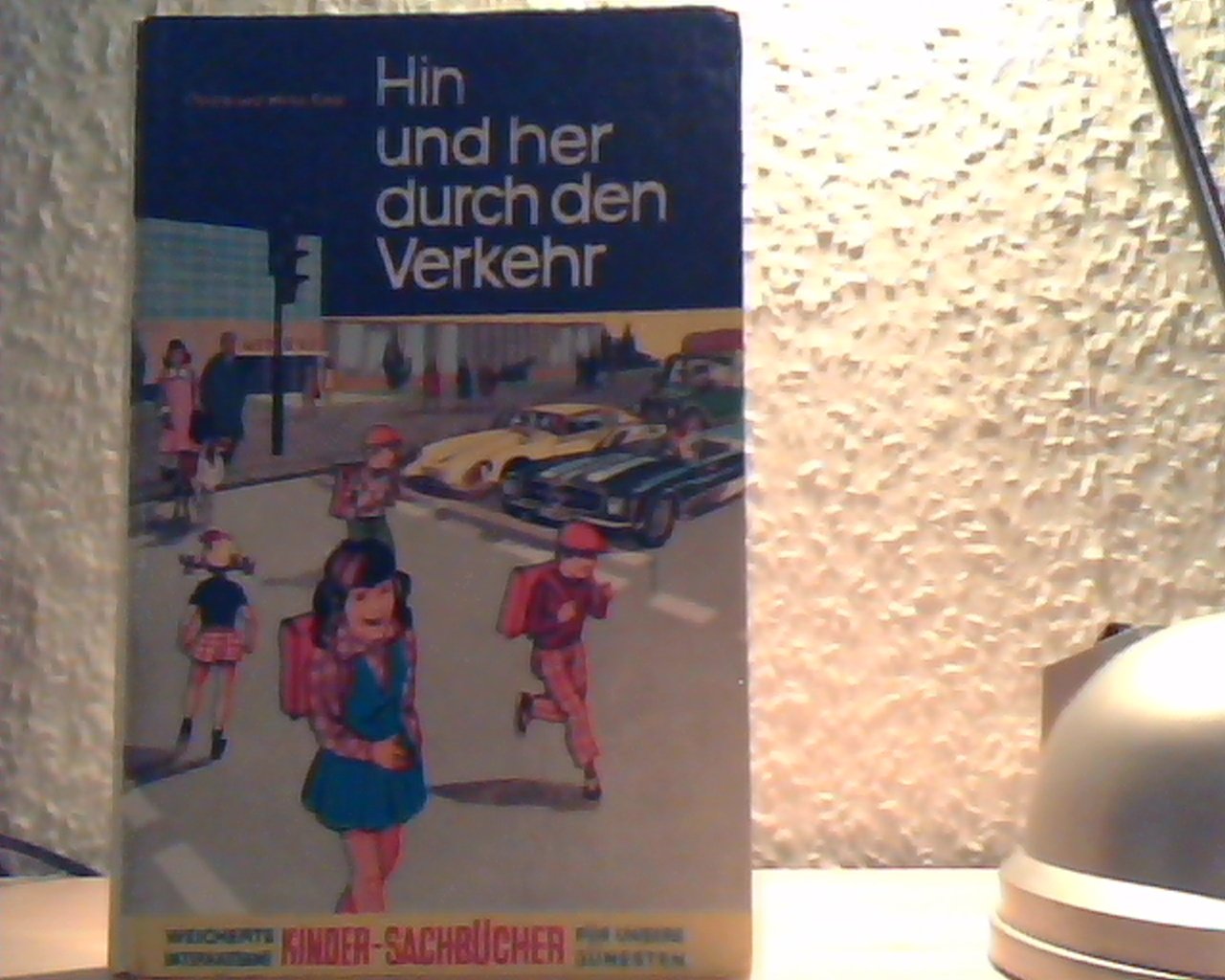 Hin und her durch den Verkehr. Eine Verkehrsfibel für unsere Jüngsten Books