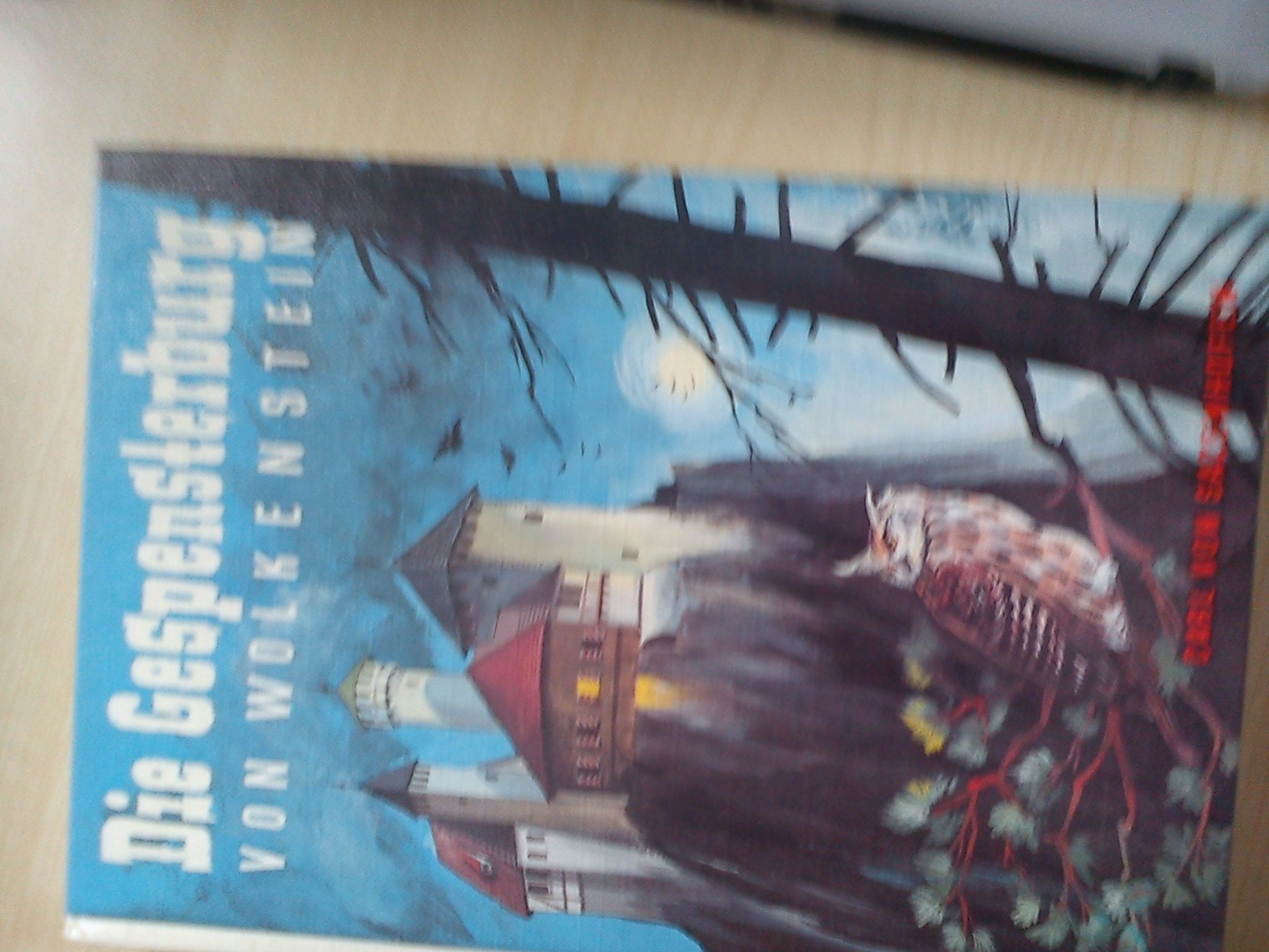 Die Gespensterburg von Wolkenstein Books
